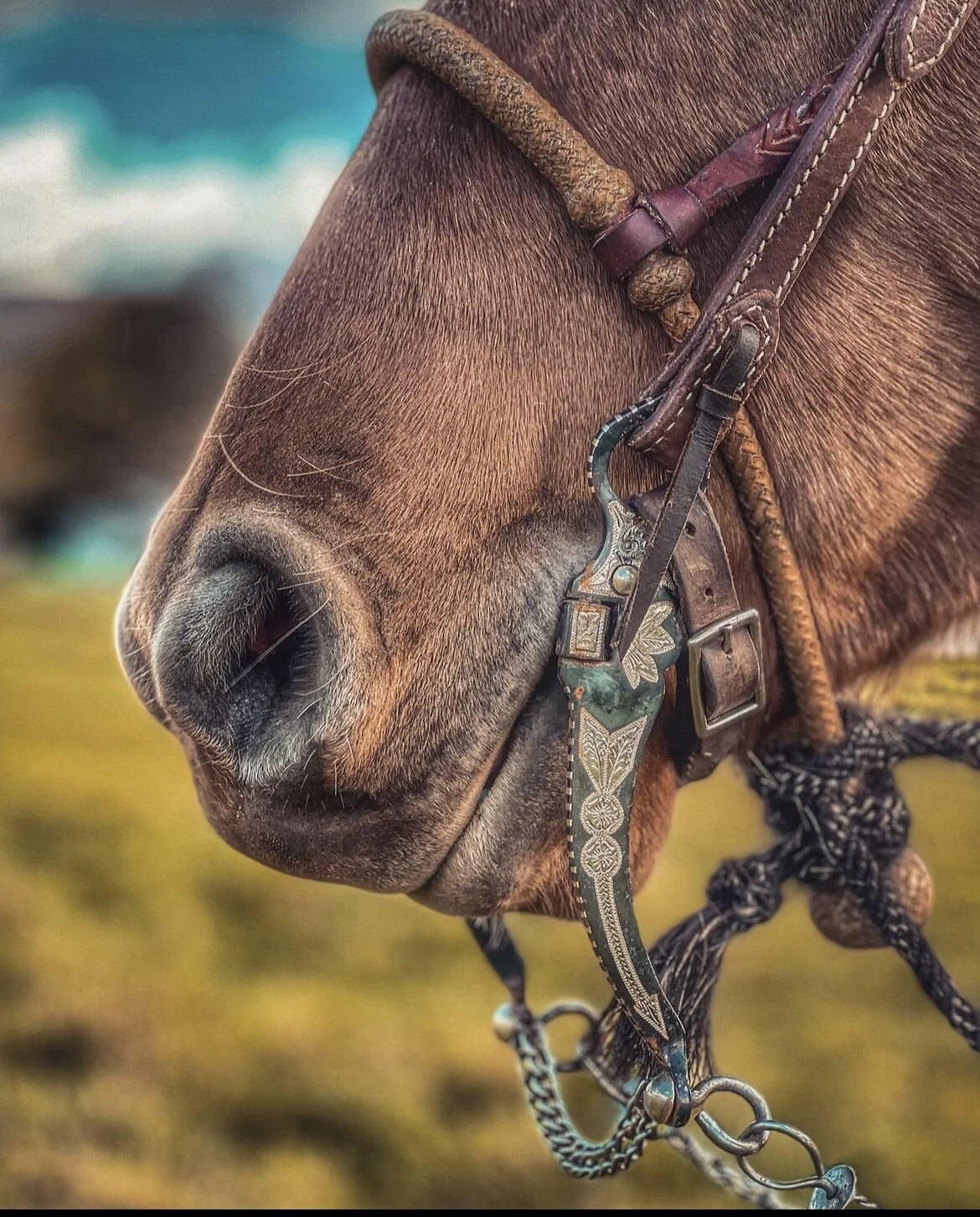 A9B70854-F00B-4BBB-9B8C-CBC4A65CA64A