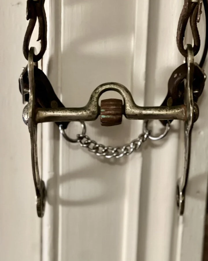 2A52B090-2031-4F2F-959F-BB6020BADB95