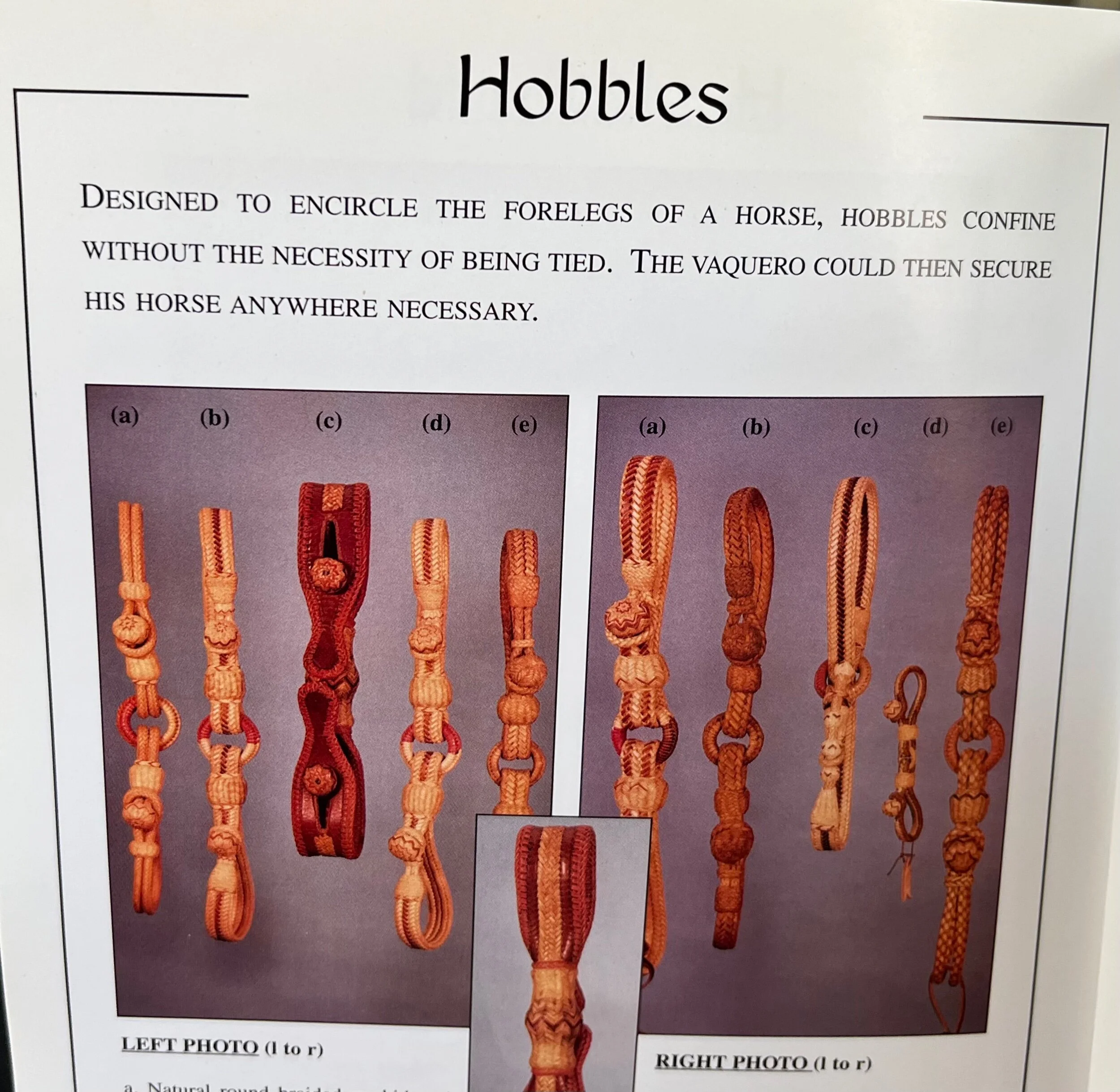 4E152868-B2AD-4F12-A232-738B959027BF