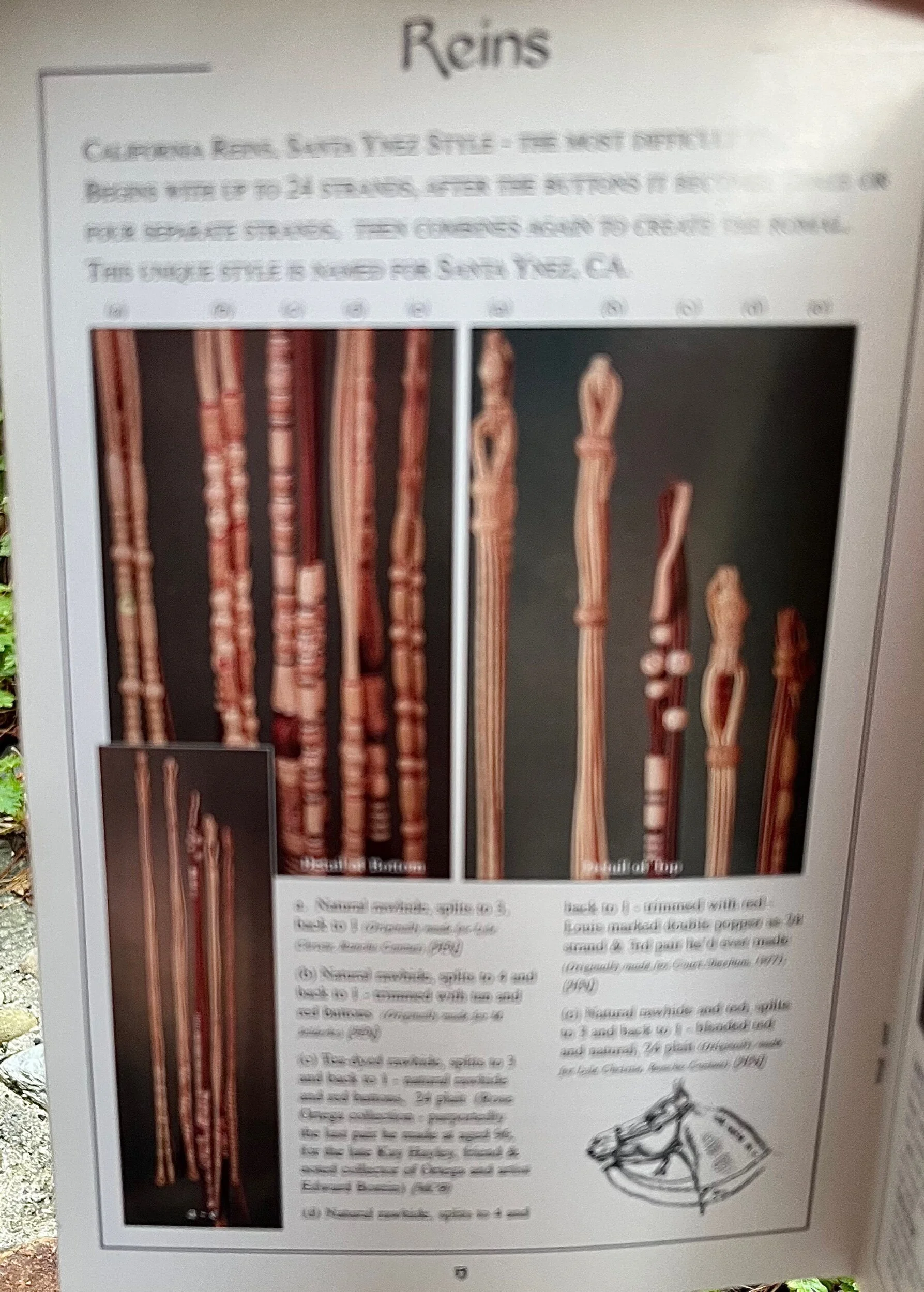 B9F4C848-2143-4BB8-9729-EA6C528000D7