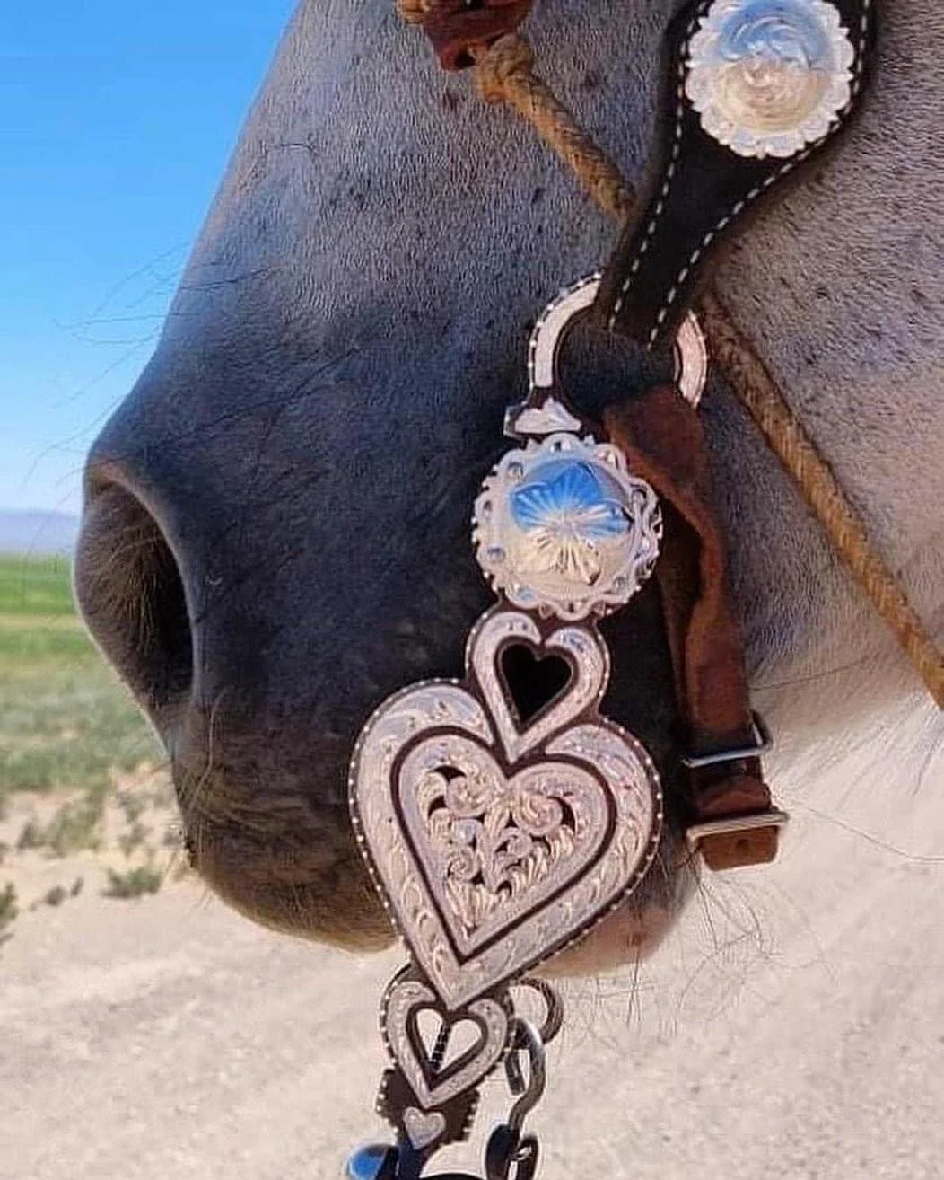 268541CA-D32E-4089-8787-5D1928FDAA01