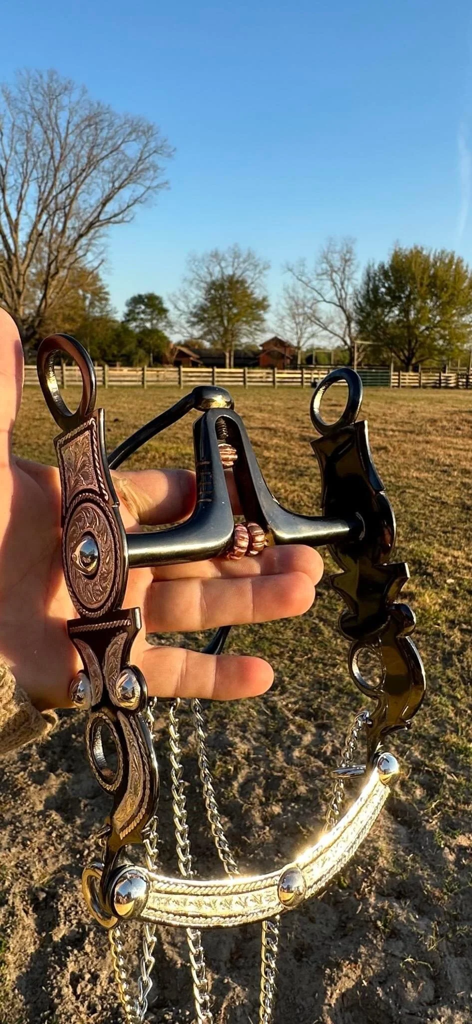 137D37FD-2077-47B5-BB7A-7B7A4CF0FB2A