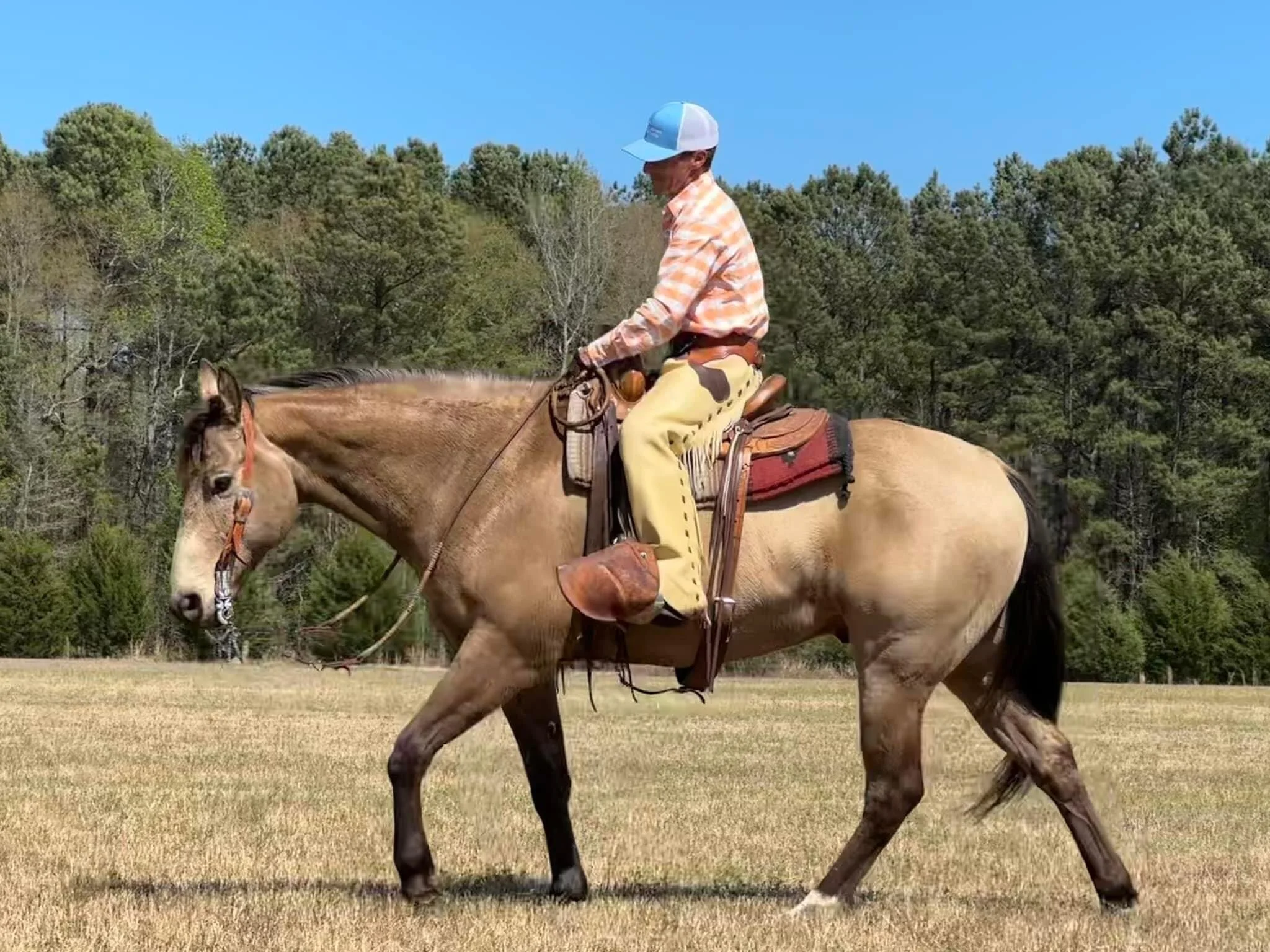 08CBA4B7-8A85-4937-A934-2F9BD3D5D0AE