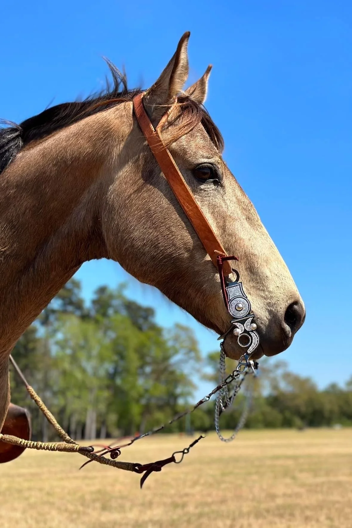 5CF8644A-93EF-4911-96D9-F3D406A1DA65