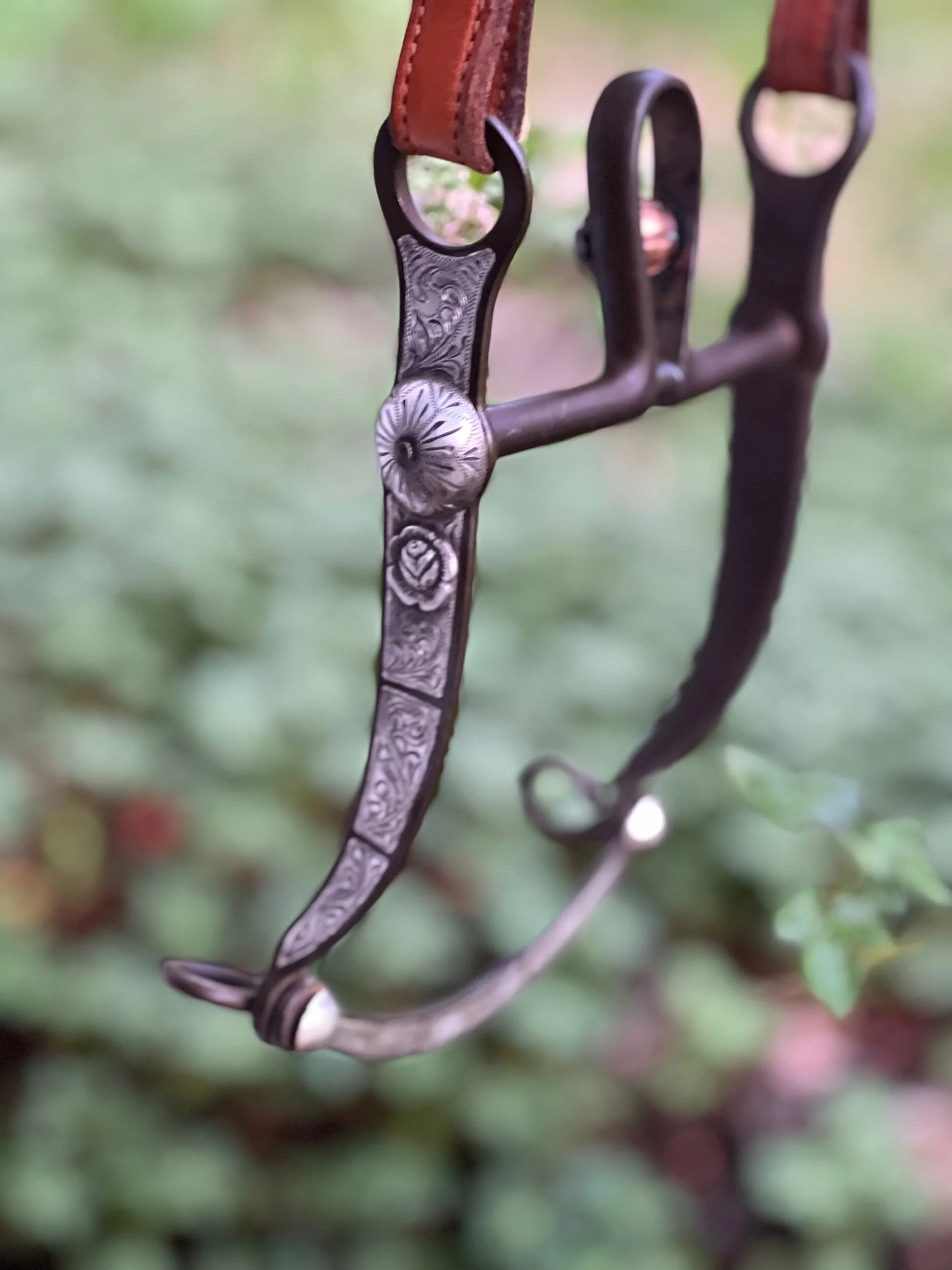 CE586C94-25FB-4E1F-8BCB-4D8B2D99F908