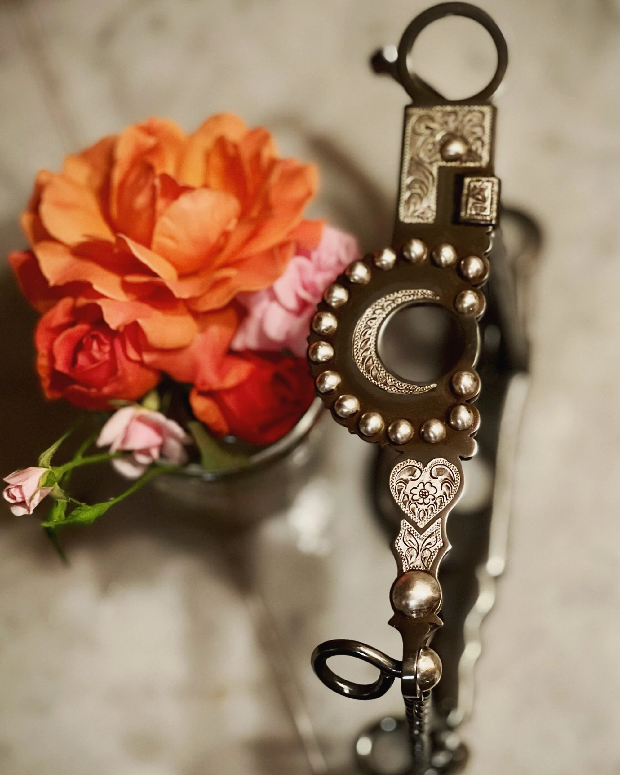 DCDA07F6-803B-4B9B-86EB-BAEFEC8B4B46