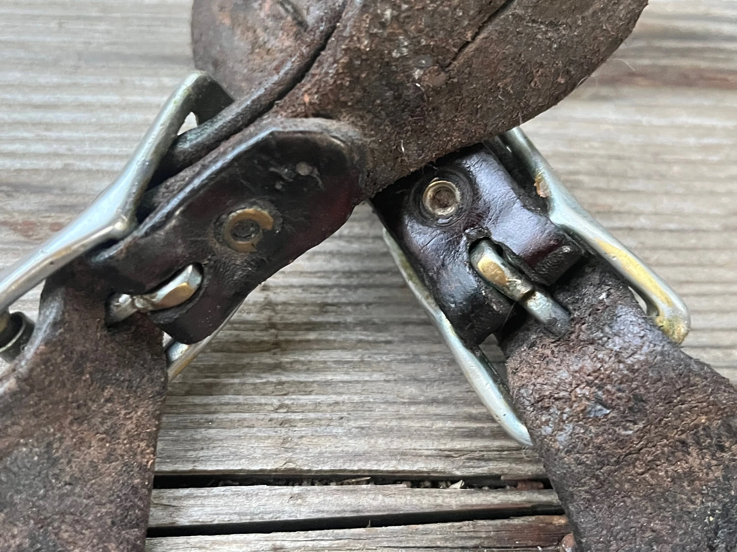 5D98A13C-0FCE-4AE4-9451-B89610969164