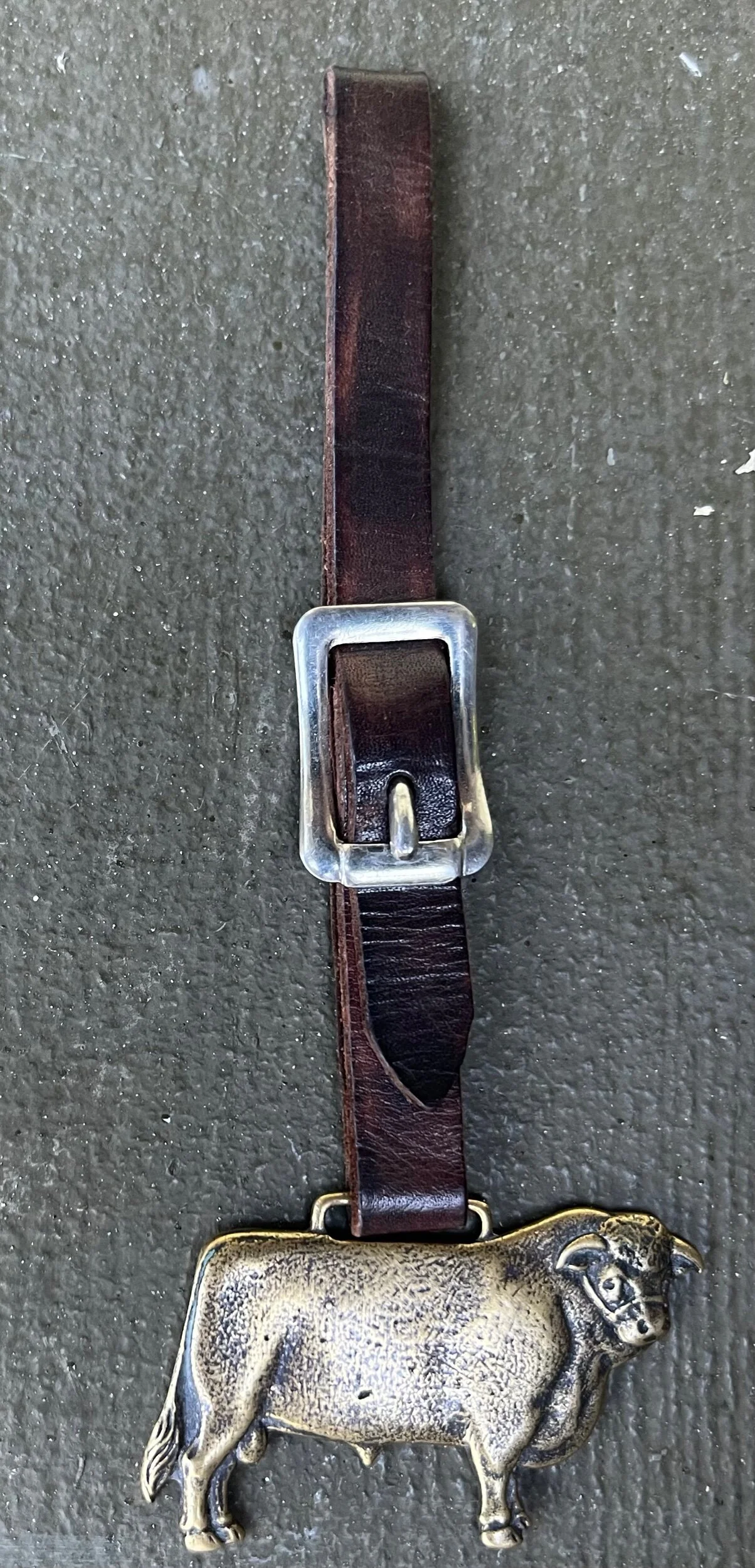 39D2B1DD-82E2-4DAF-8E9C-8C9EC3FD06B2