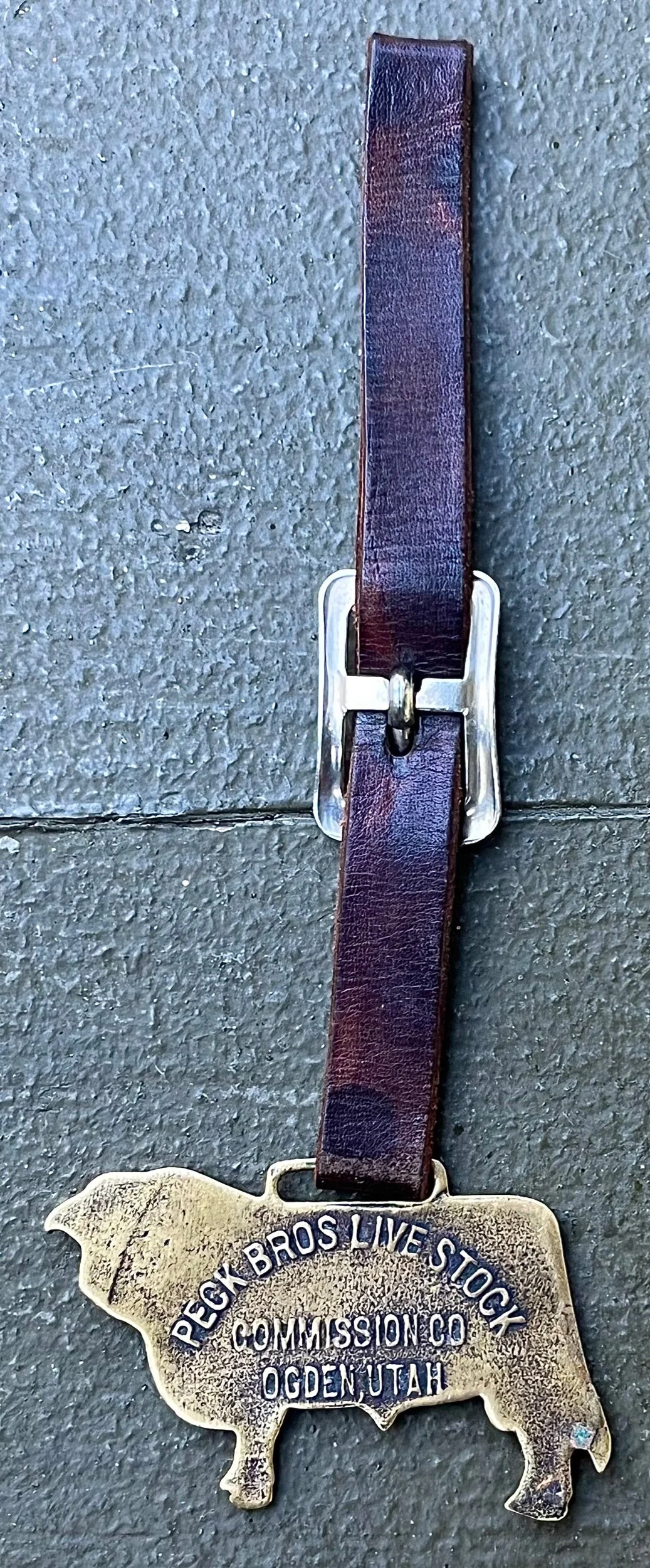 12FF3866-5643-462F-9338-9629069A756F