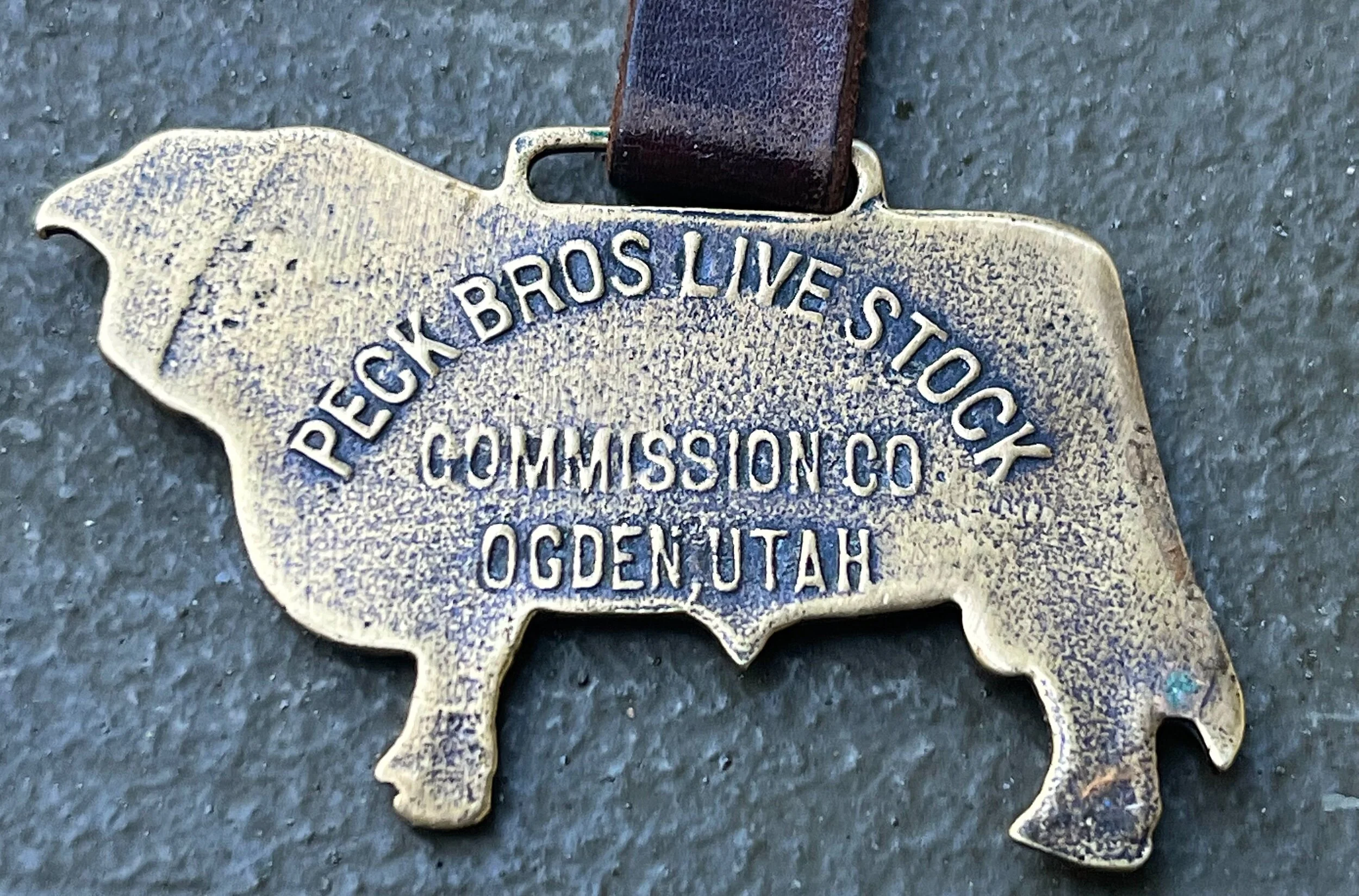 B8F4E05F-DE97-4D1C-8B0B-FD16F8711BB4