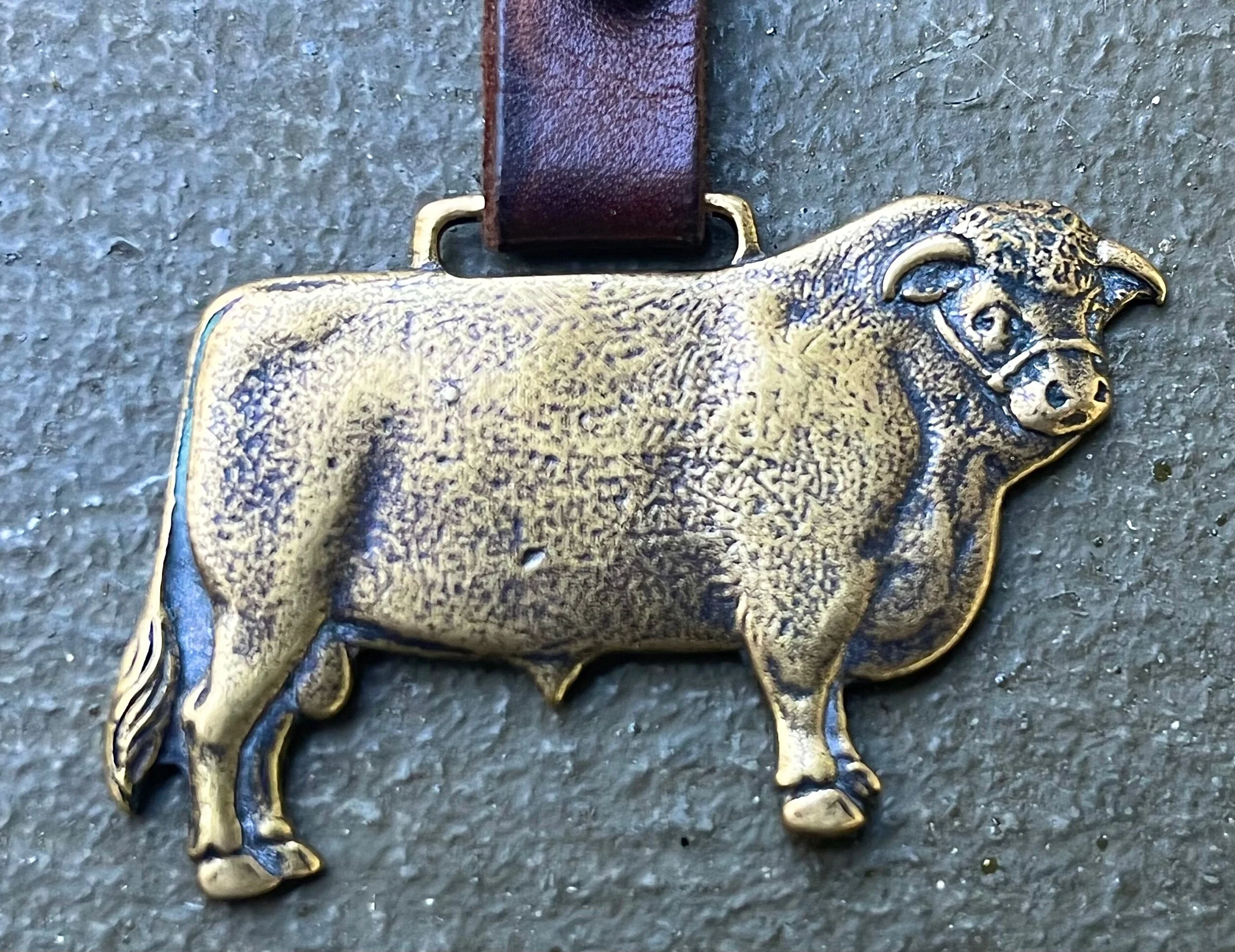 15ED740F-5D55-4DB2-86BA-DDB93AC7348C