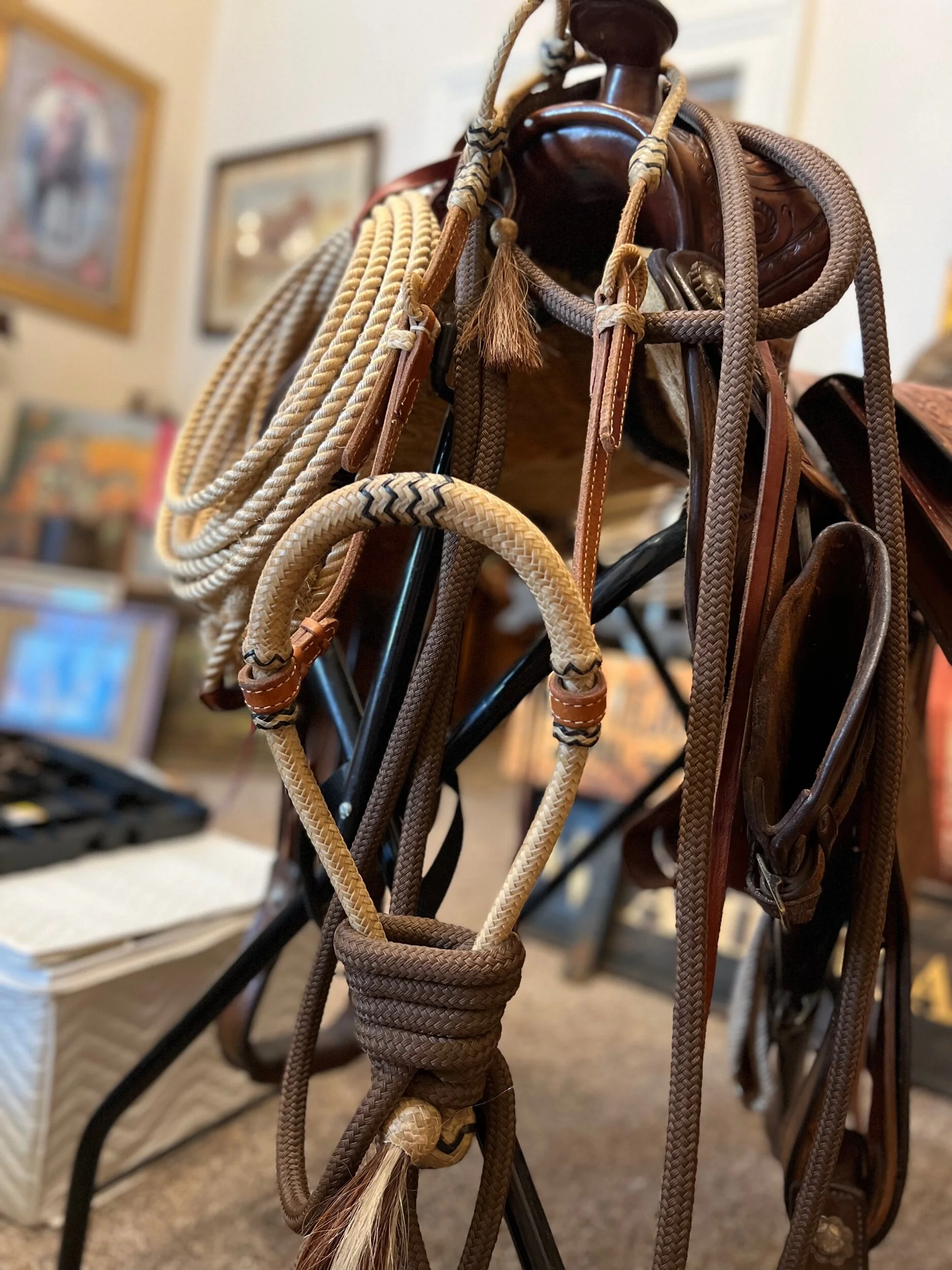 2295BBAC-B609-4E69-AF81-874915D79234