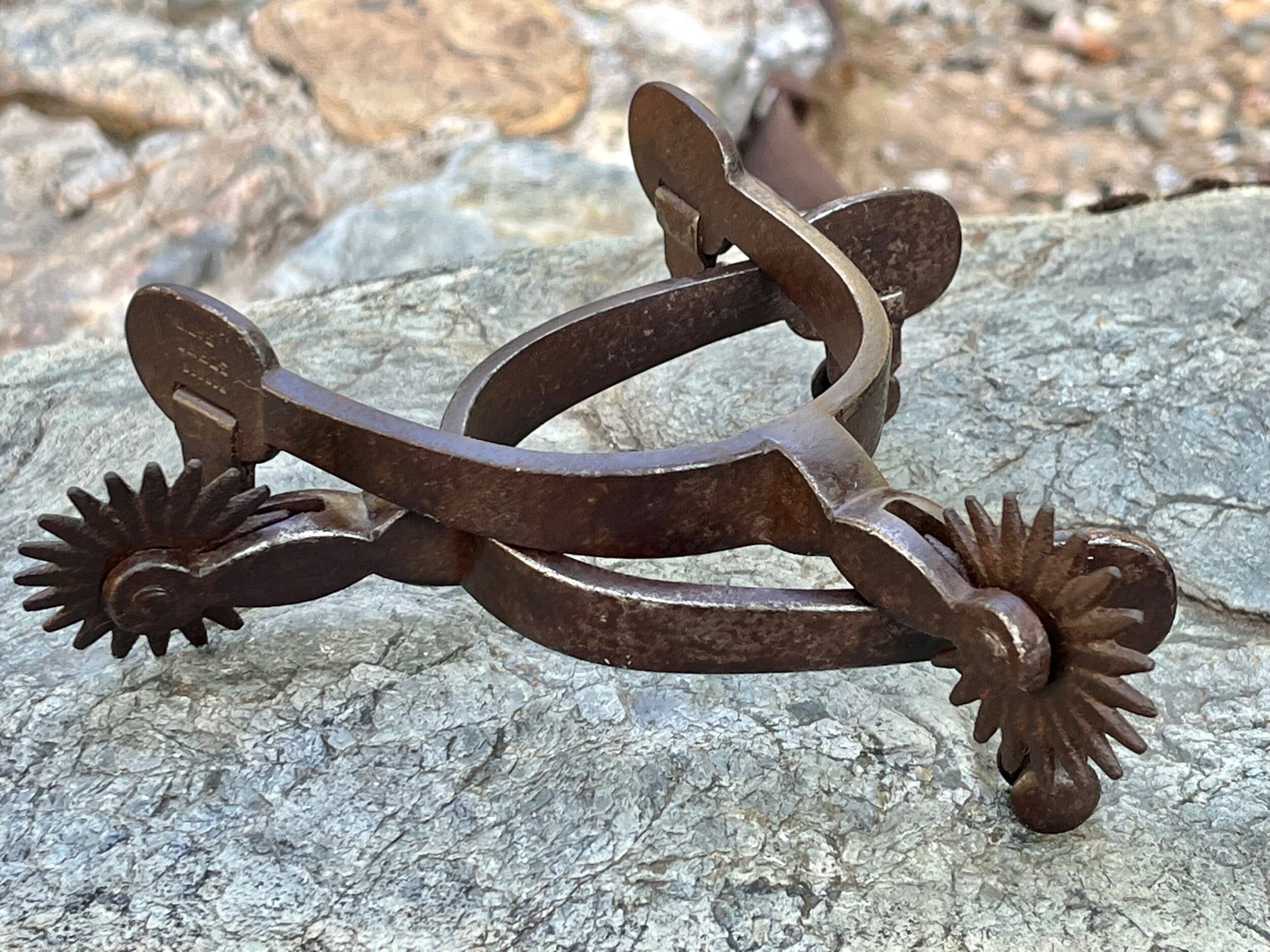 56DBC67F-EB4D-4601-9E25-019FD8A8D3DE