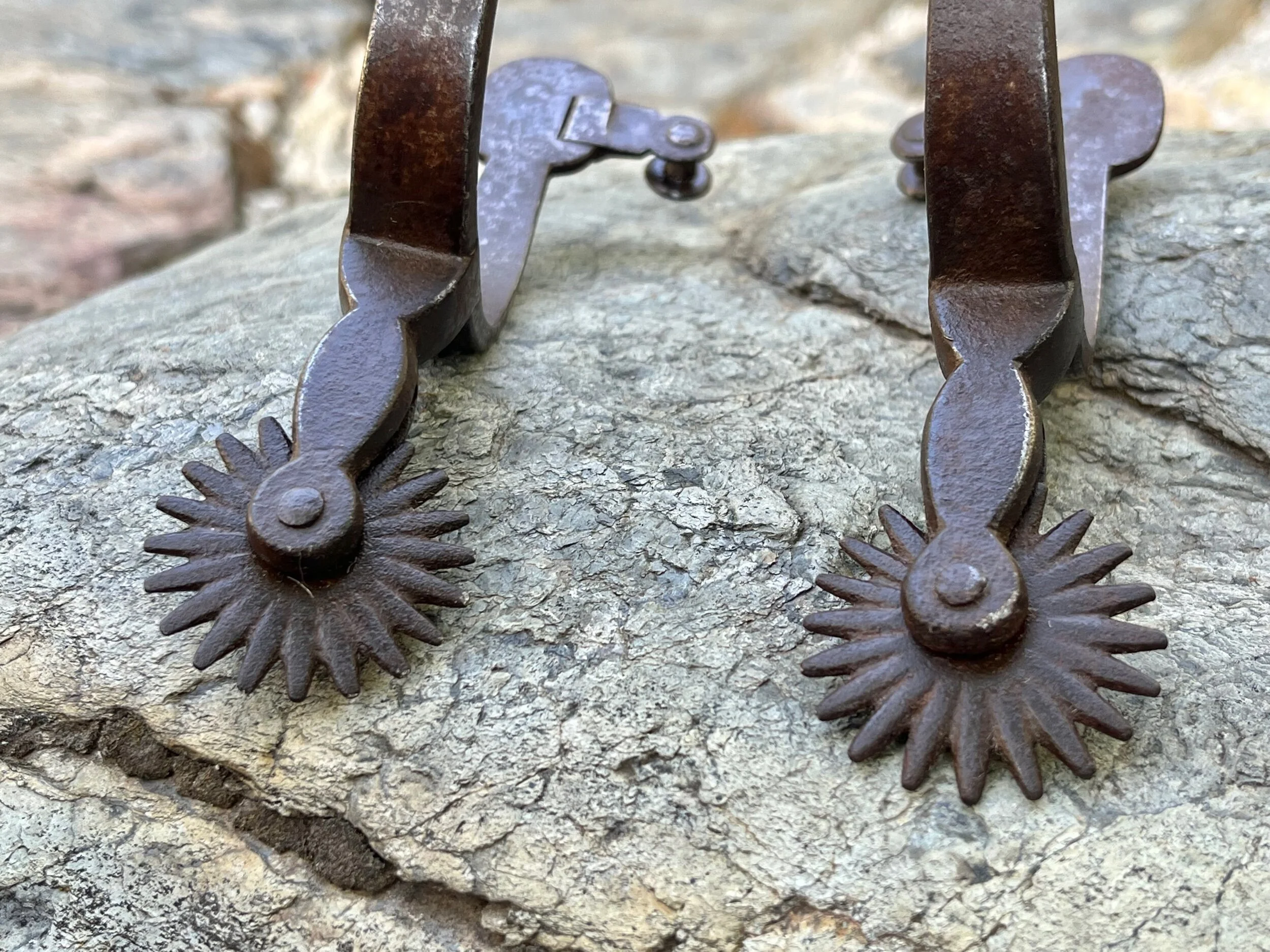 66232CC2-CECC-487D-94EF-5F30F876BDE3