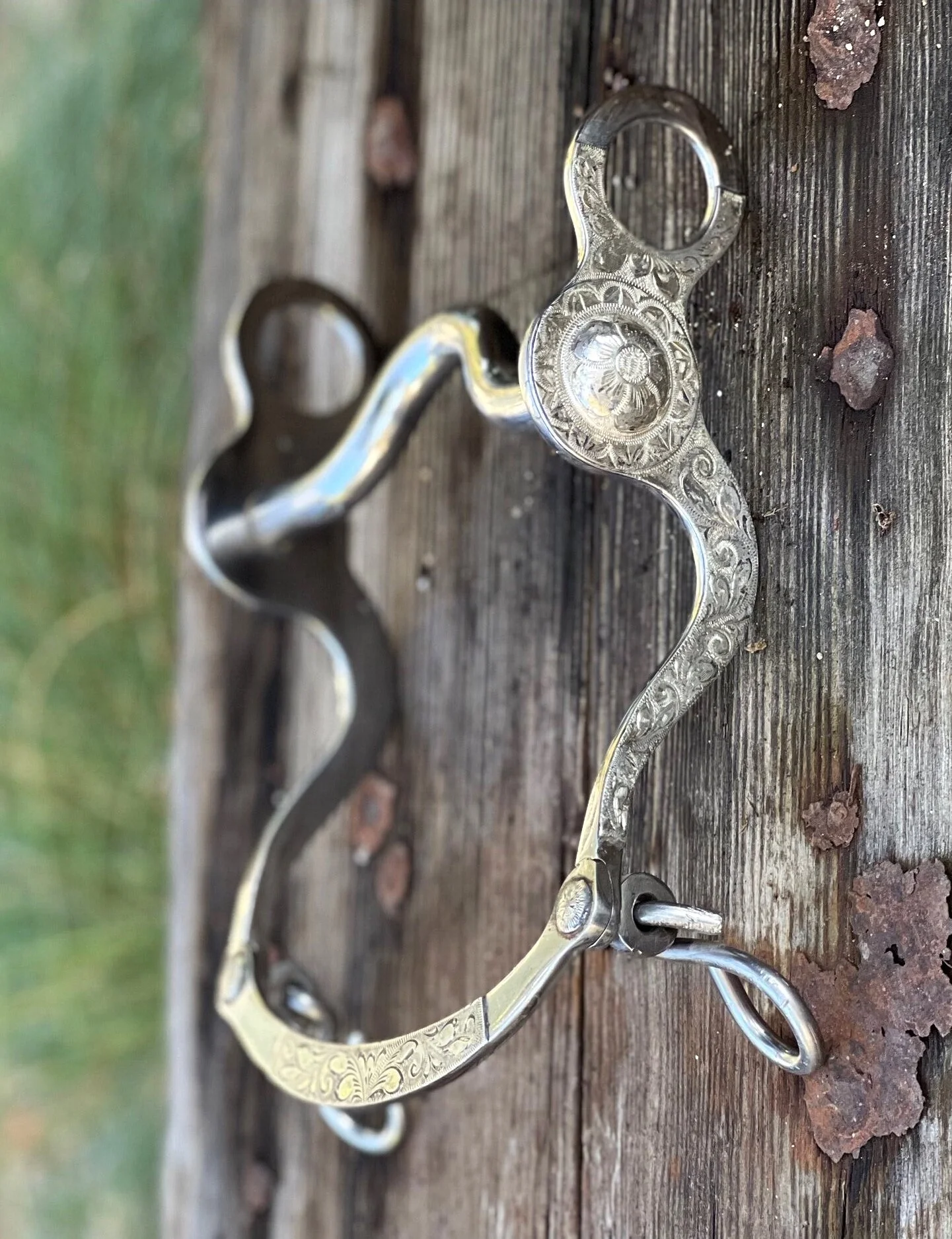 4FAEFB0D-7A50-43E2-AAF5-CAA610C274F7