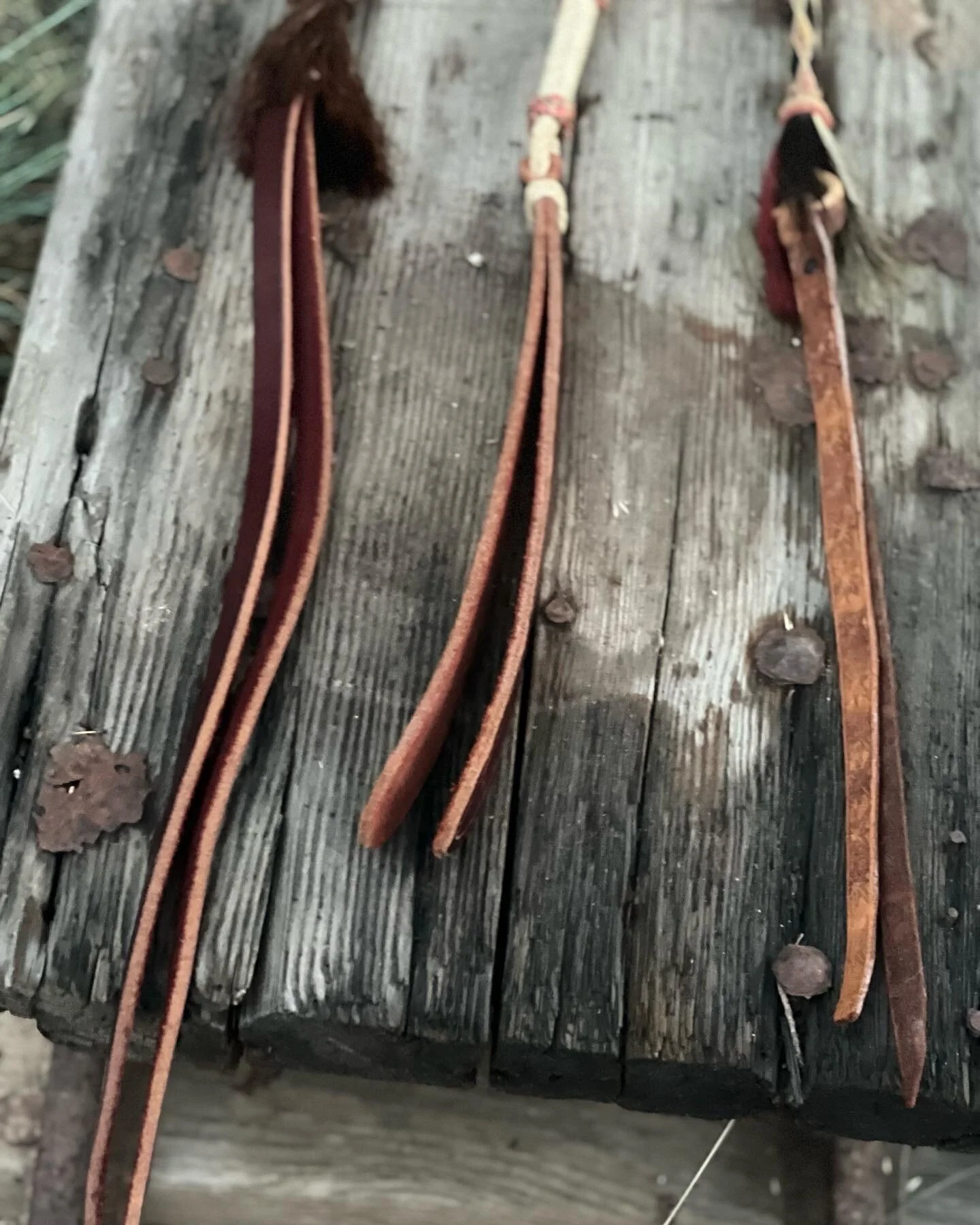 C9AD5BE6-1CC4-4A15-8755-4F28667F04F4