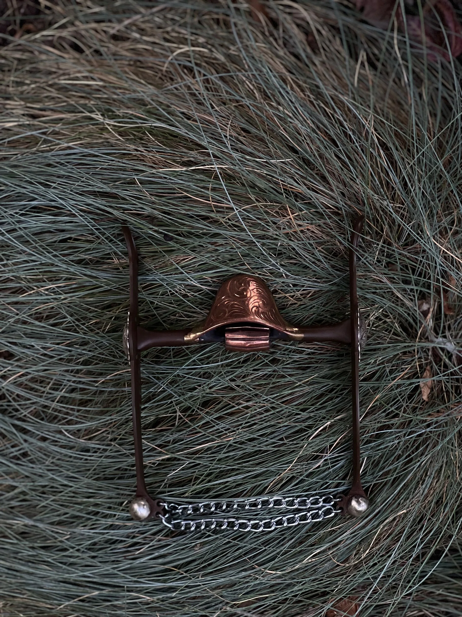 5FAF52E6-4C9A-4DA5-A848-0206665F496E