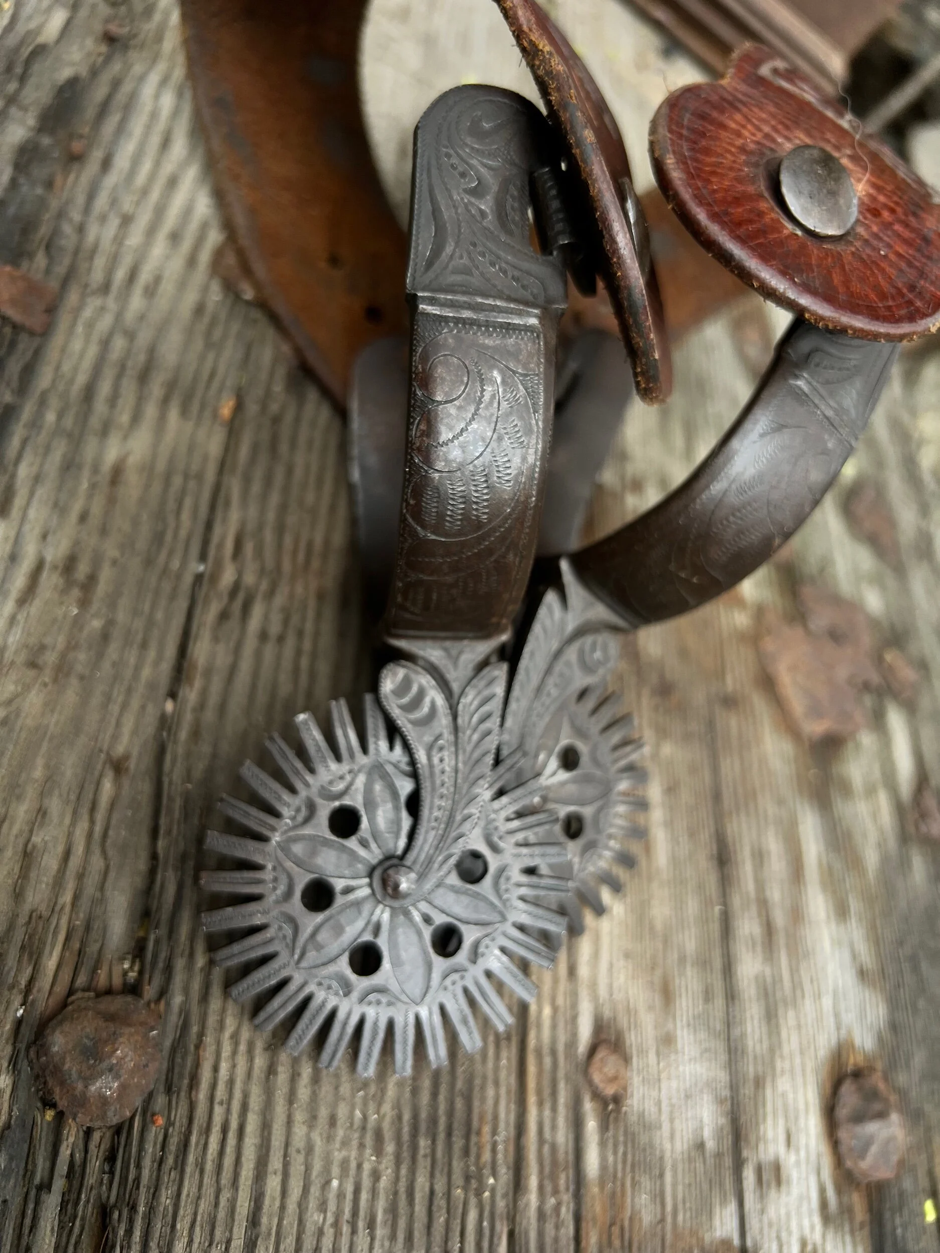 CBEC1085-2D20-4F2F-9599-0CEC26083BAB