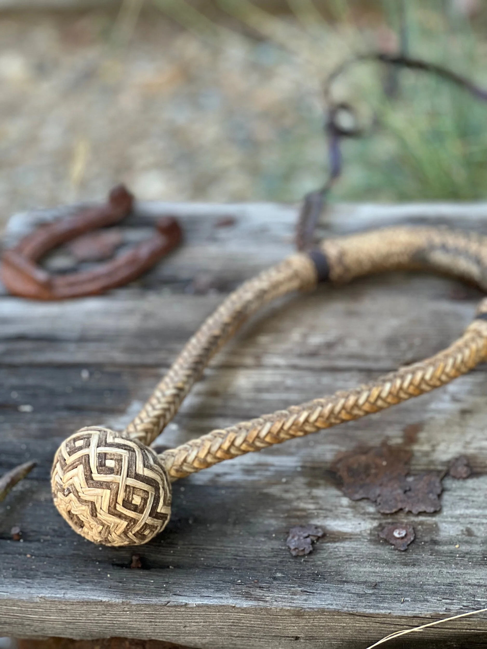 156D5A39-7A8B-48F4-826E-2115186B3559