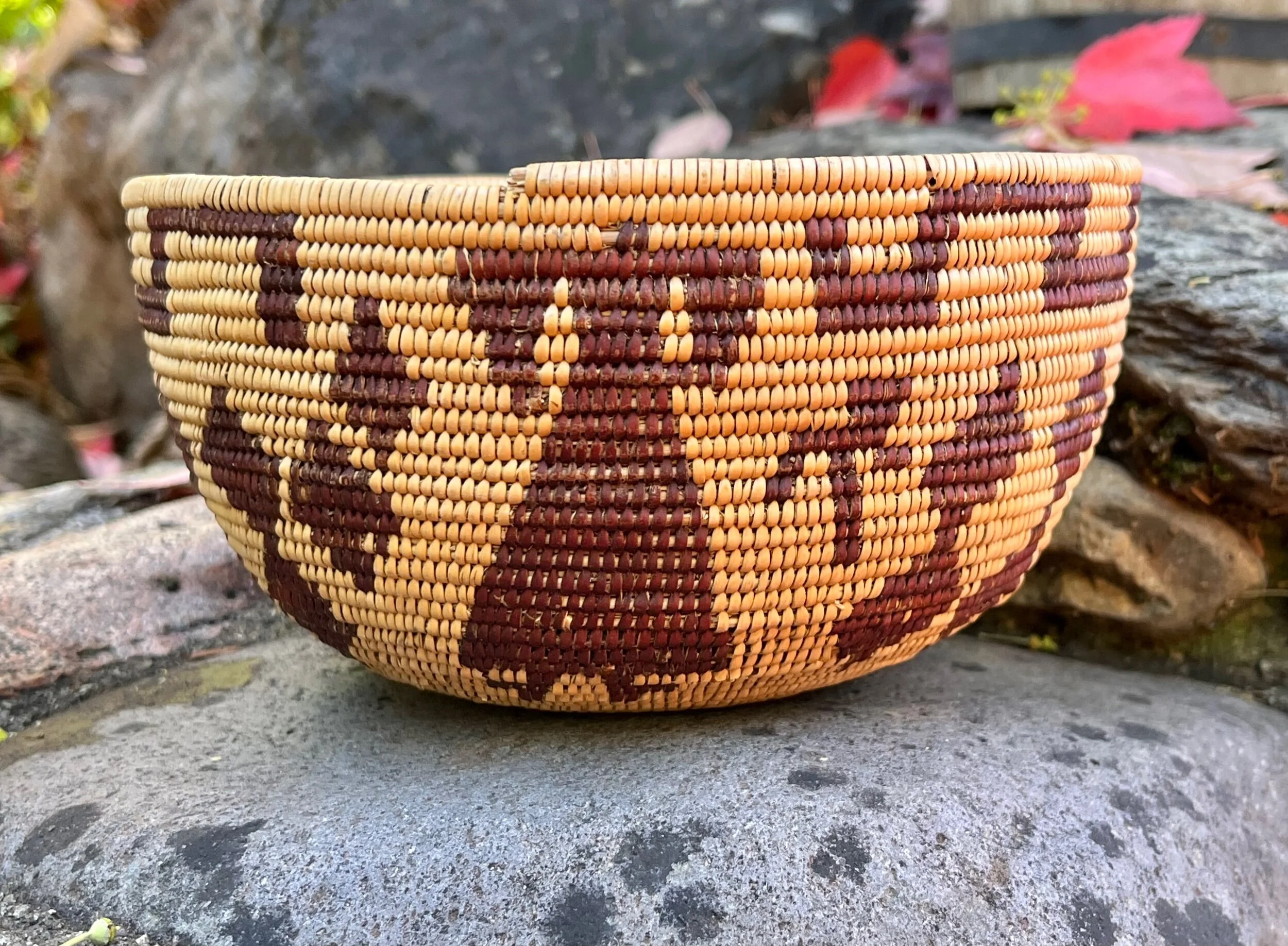 05D21289-D2A8-4BA6-935E-75672734883F