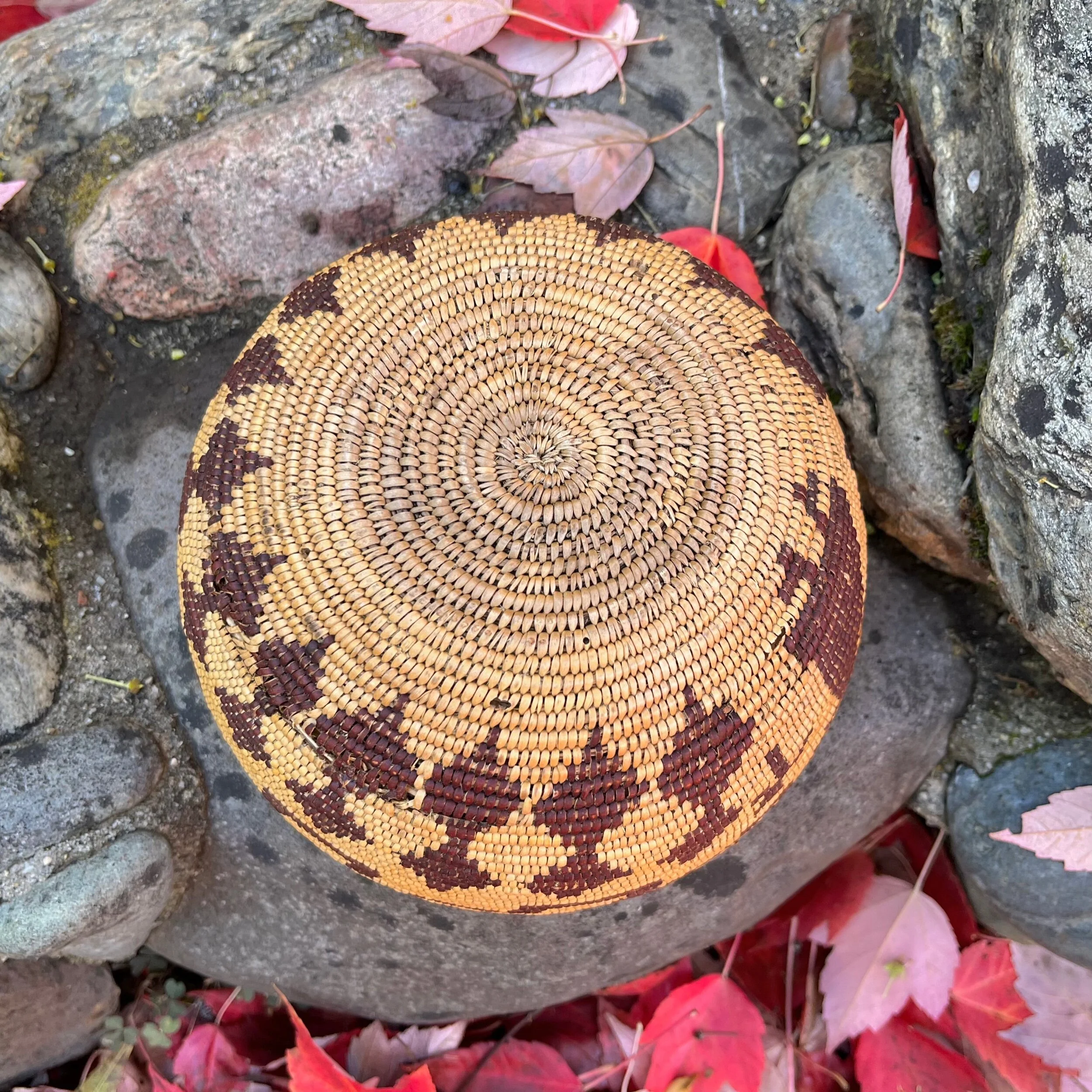 AB400446-3B33-4E23-89CD-81A8845142FA