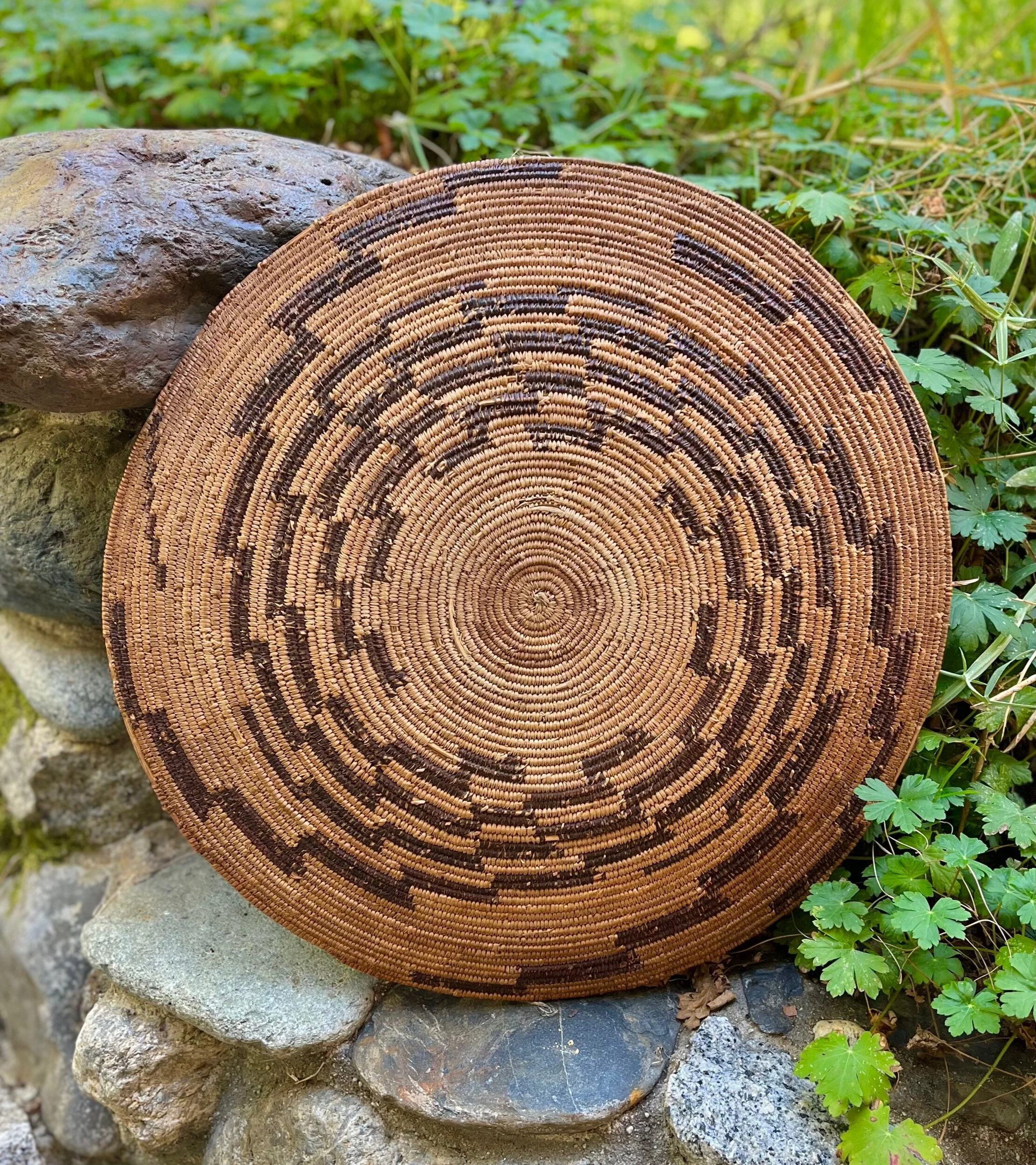 D1D02AE1-C3A6-41AF-B6A7-367B90B50B7B