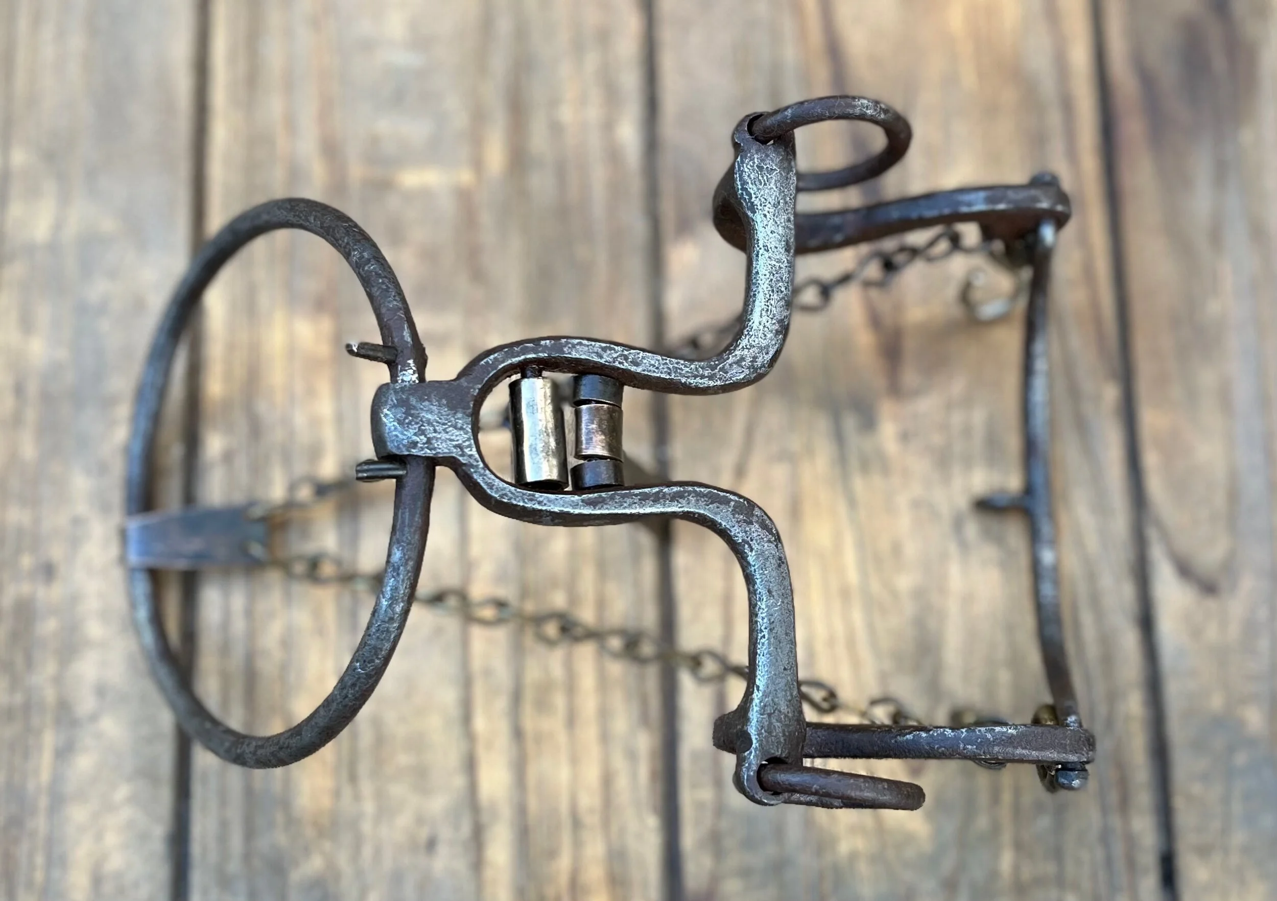 960BCE53-6B68-40A8-B6BE-AE6C3D41B4D0