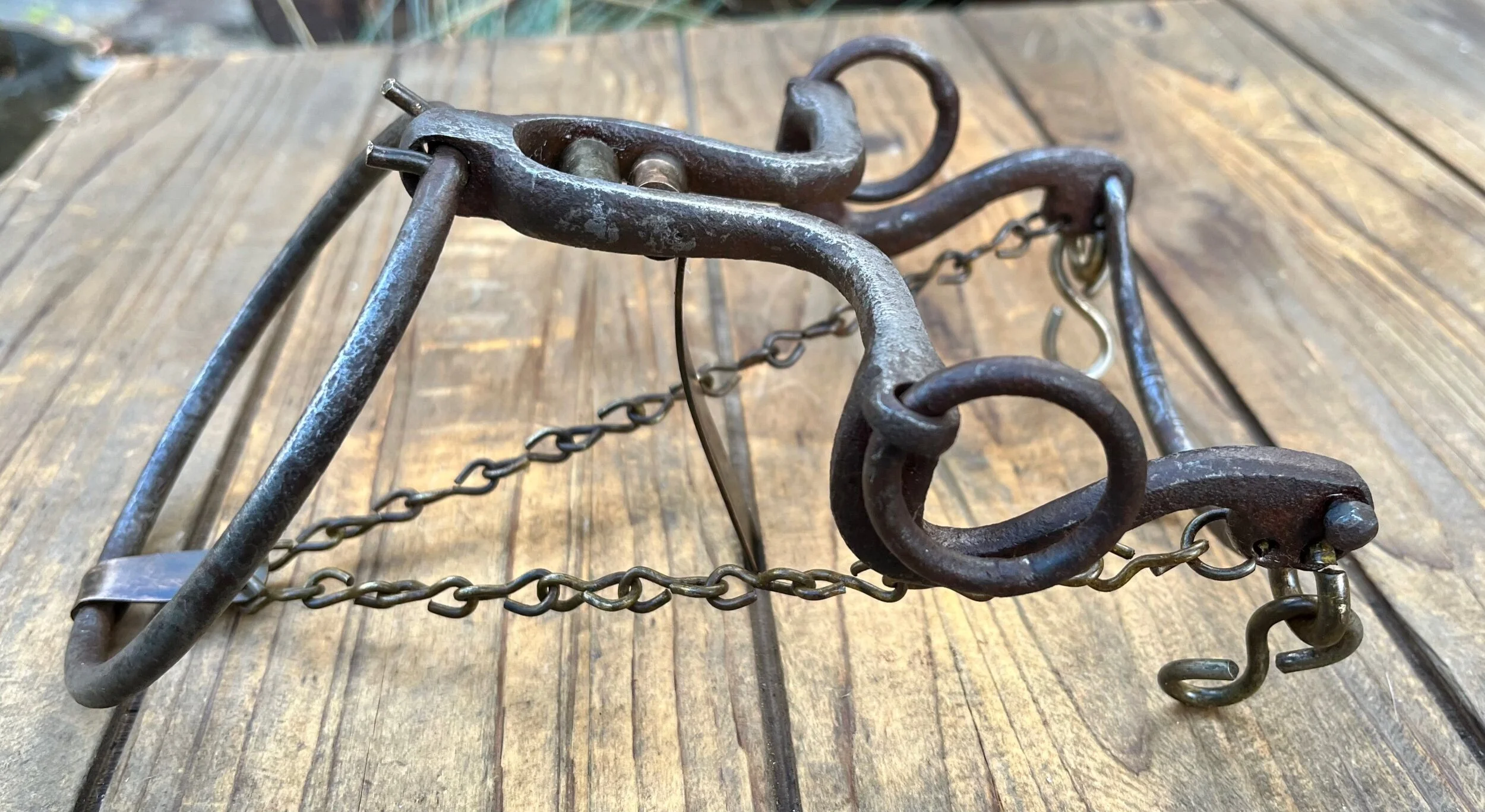 31123060-3E45-4219-9D81-8090A9E45884