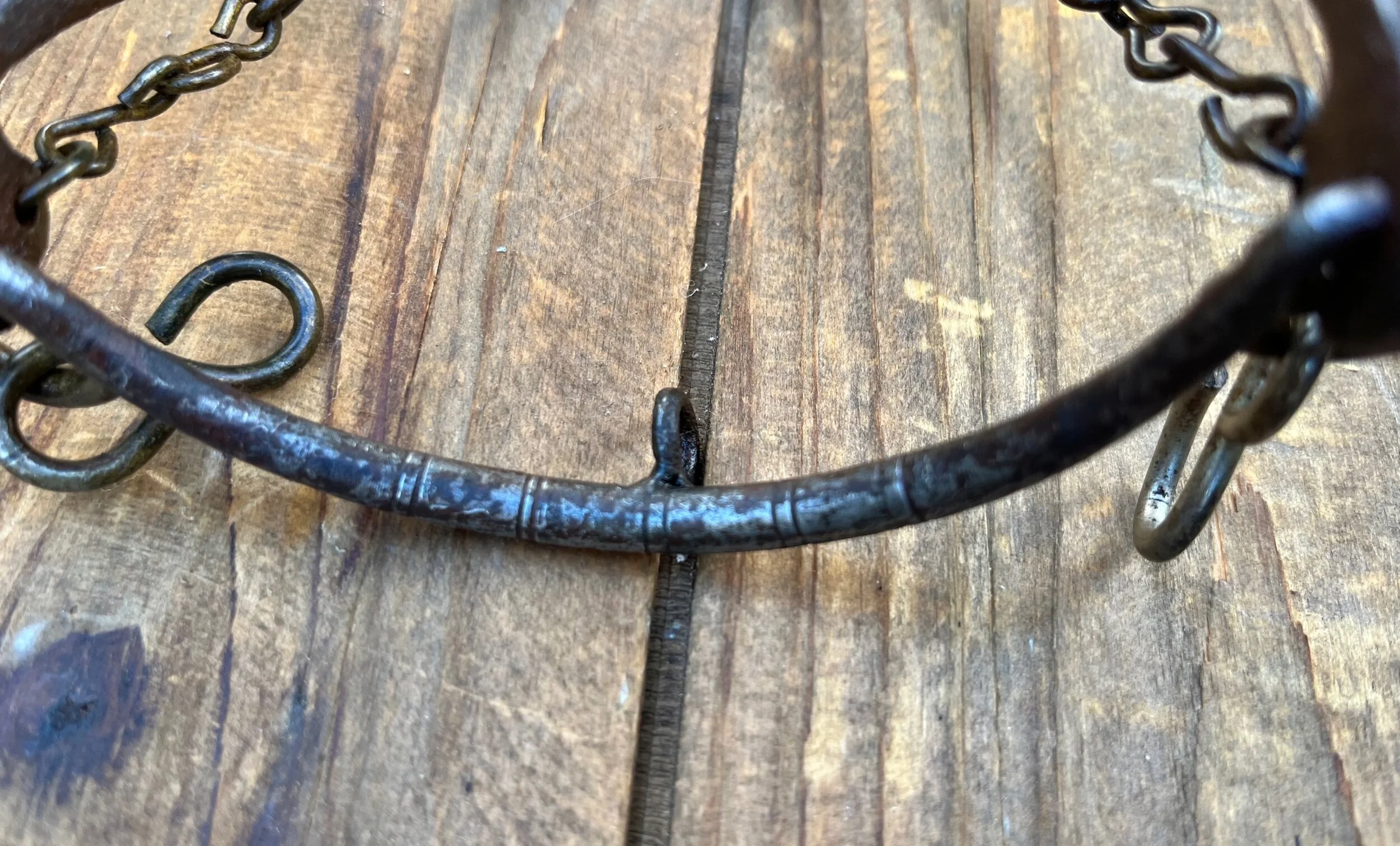 D11AF08D-E69B-416E-B8FD-FF2C65726F9B