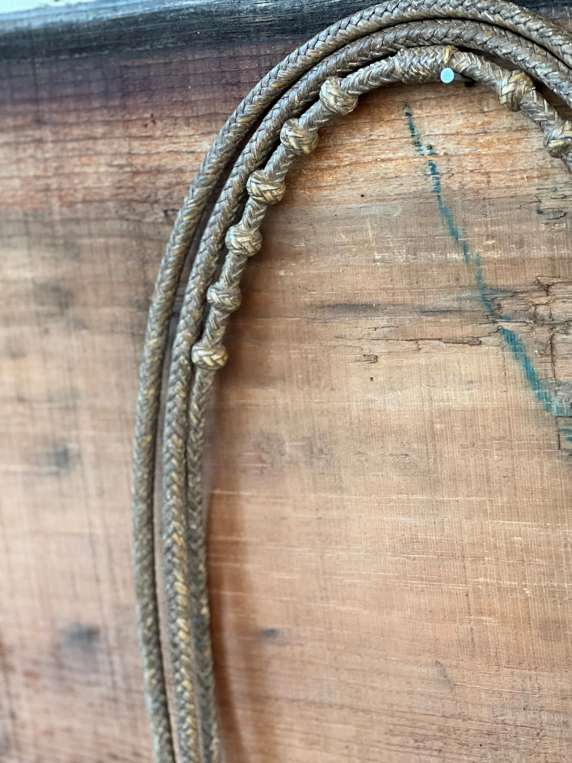 2DE77E0F-FDA2-476F-A7C9-ABEE27D162A9