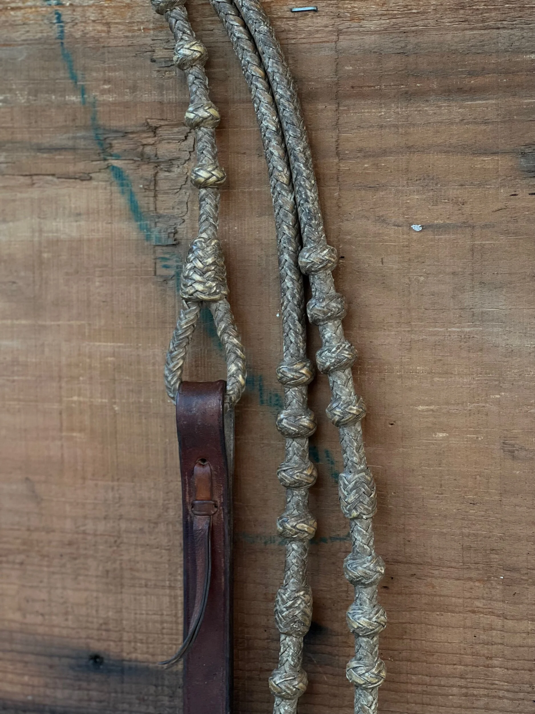 699CCB5E-E485-453E-8171-002384D2D4B3