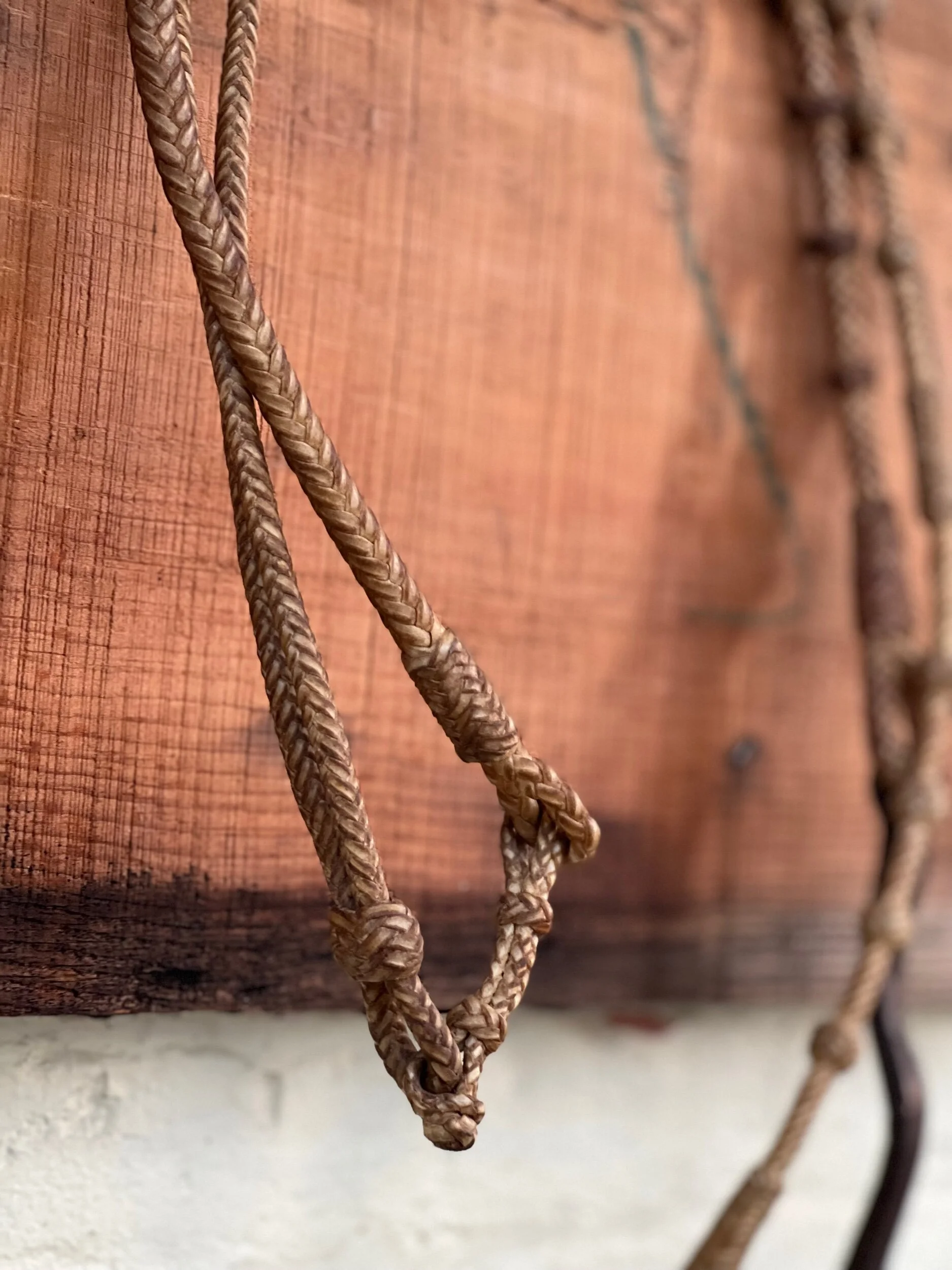 6AD388BE-7815-432A-9C0D-BD58A58C8CBD