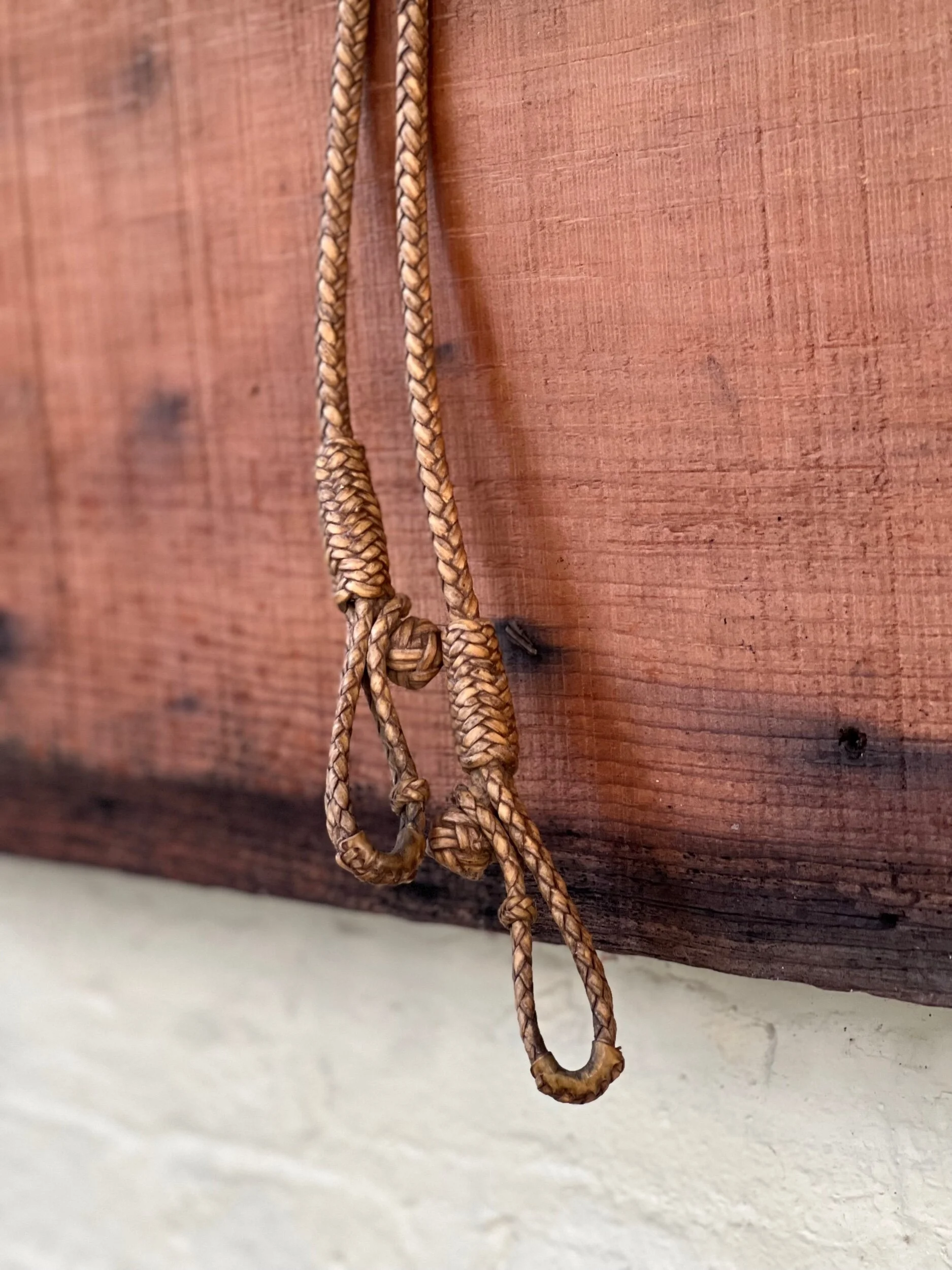 367216F2-CF82-4966-B811-4C3BA1502AA4