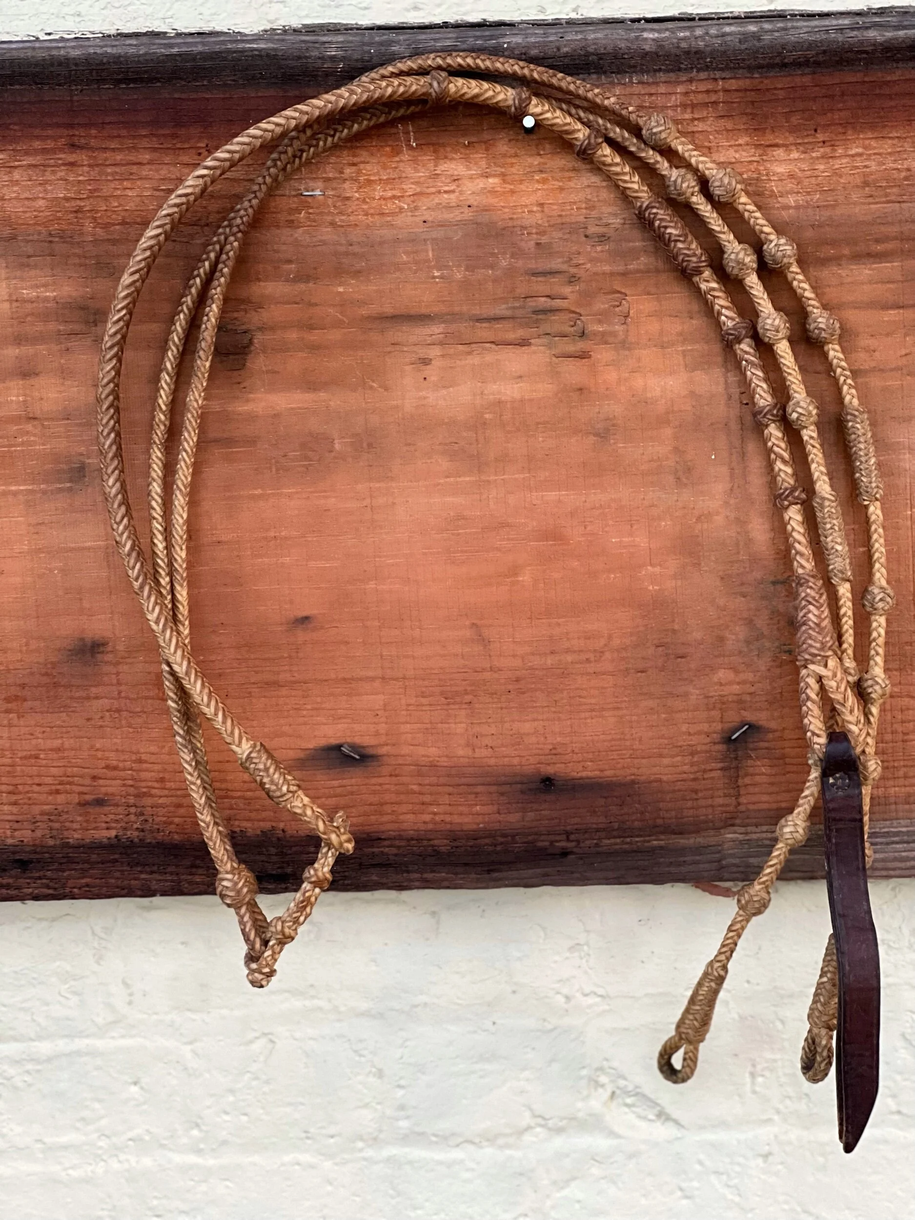 0FACEB54-9F5D-49D4-AEDB-716E939C35F1