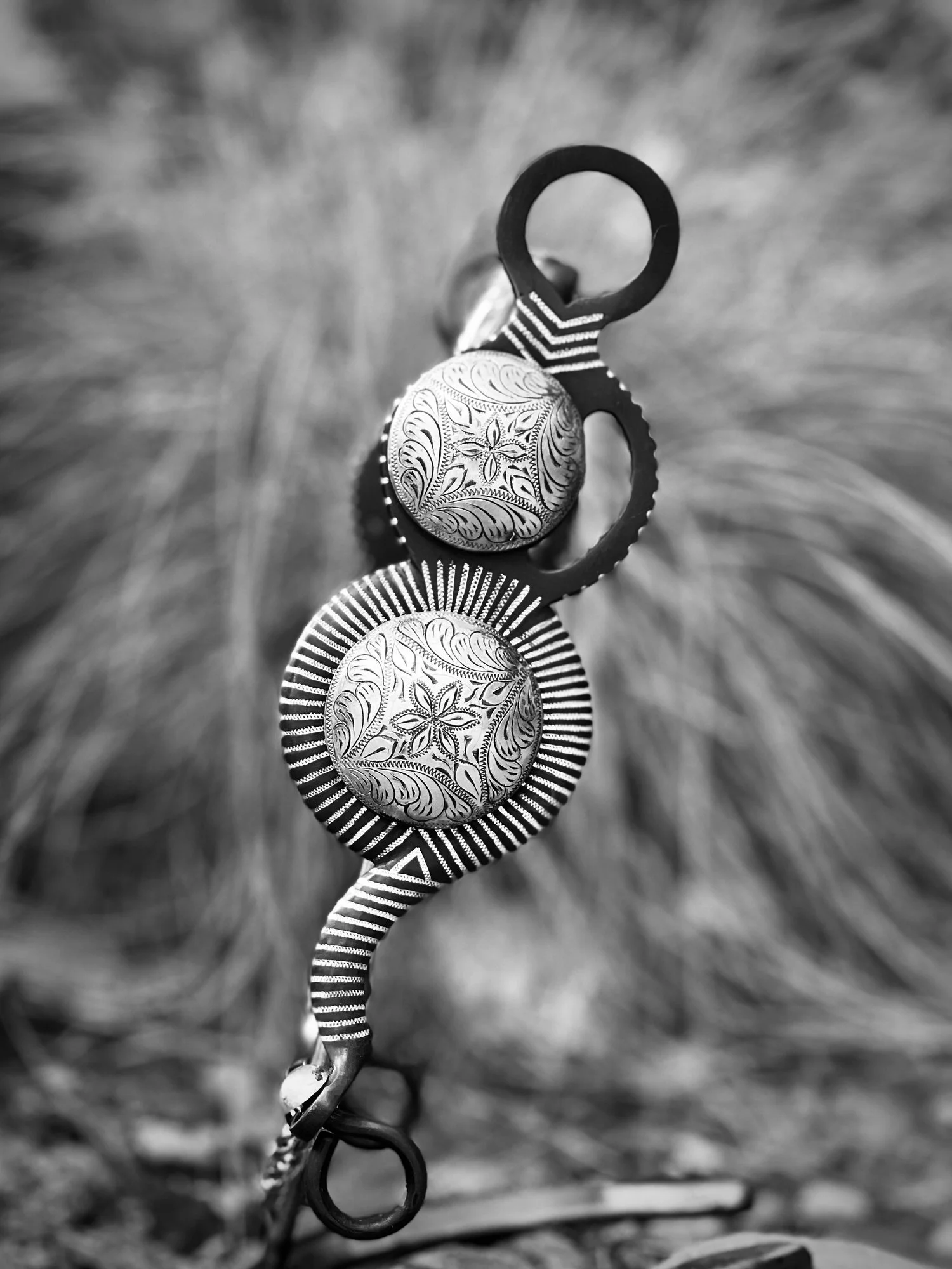 640BAA13-A372-4A00-8F1E-D9C604081FCD