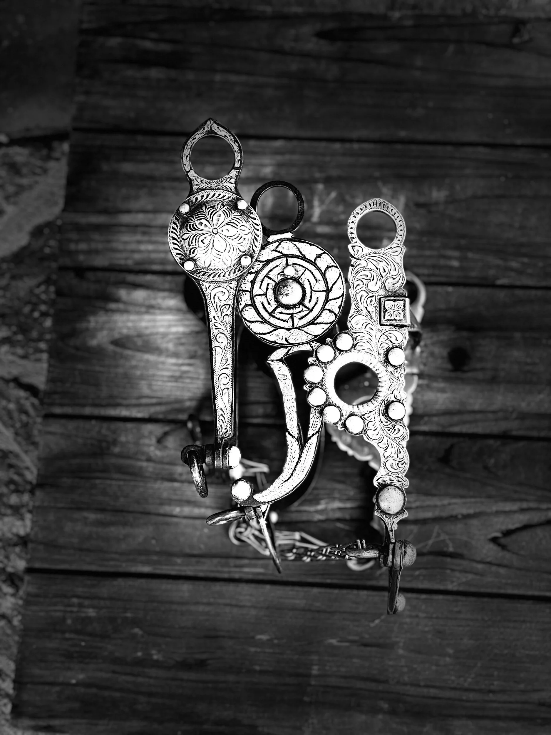 8DDAC6B9-60F4-48E2-B344-F199A9F4BCB1