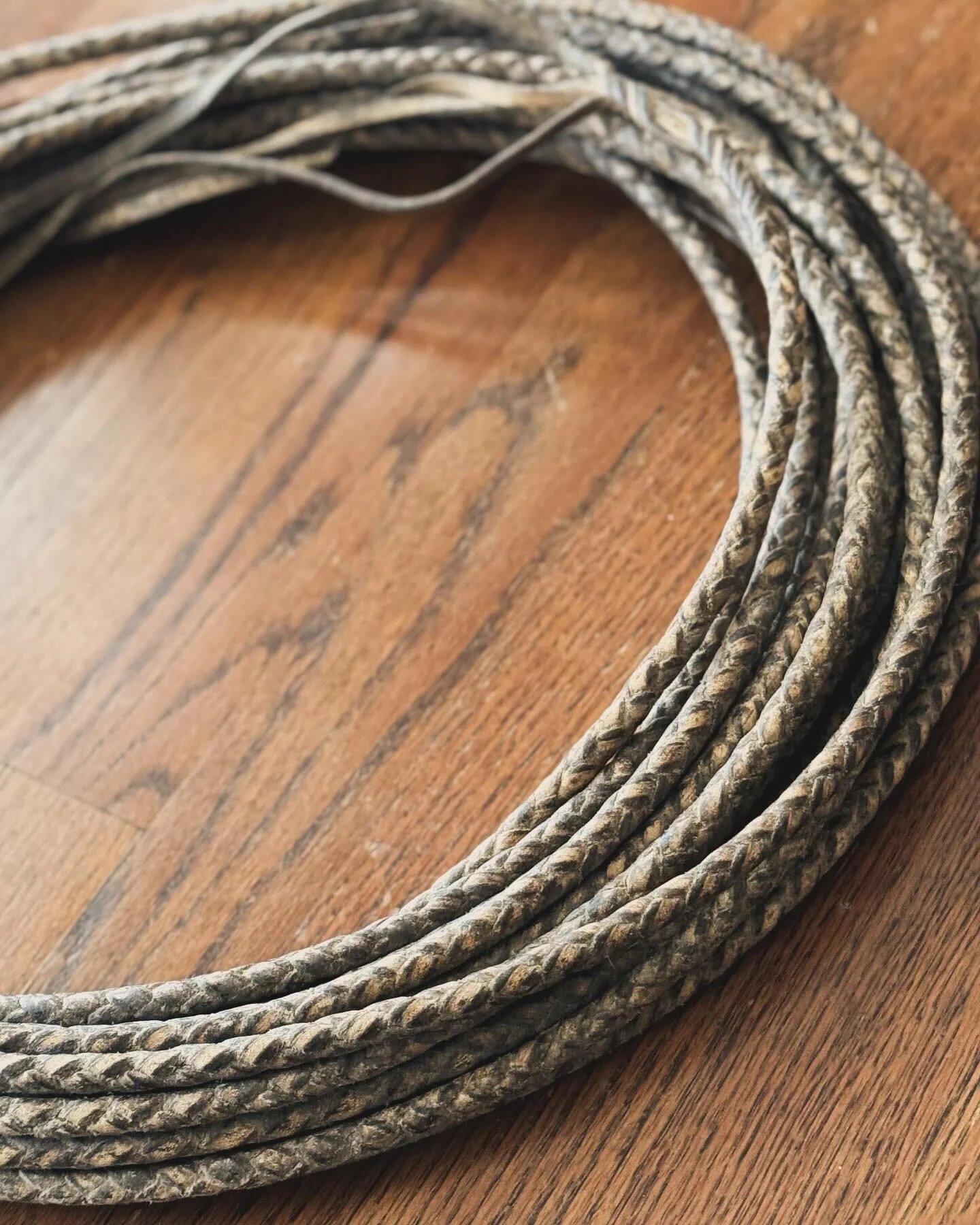 A Fine, 4-Strand, Hand Braided, 60 ft. Rawhide Reata