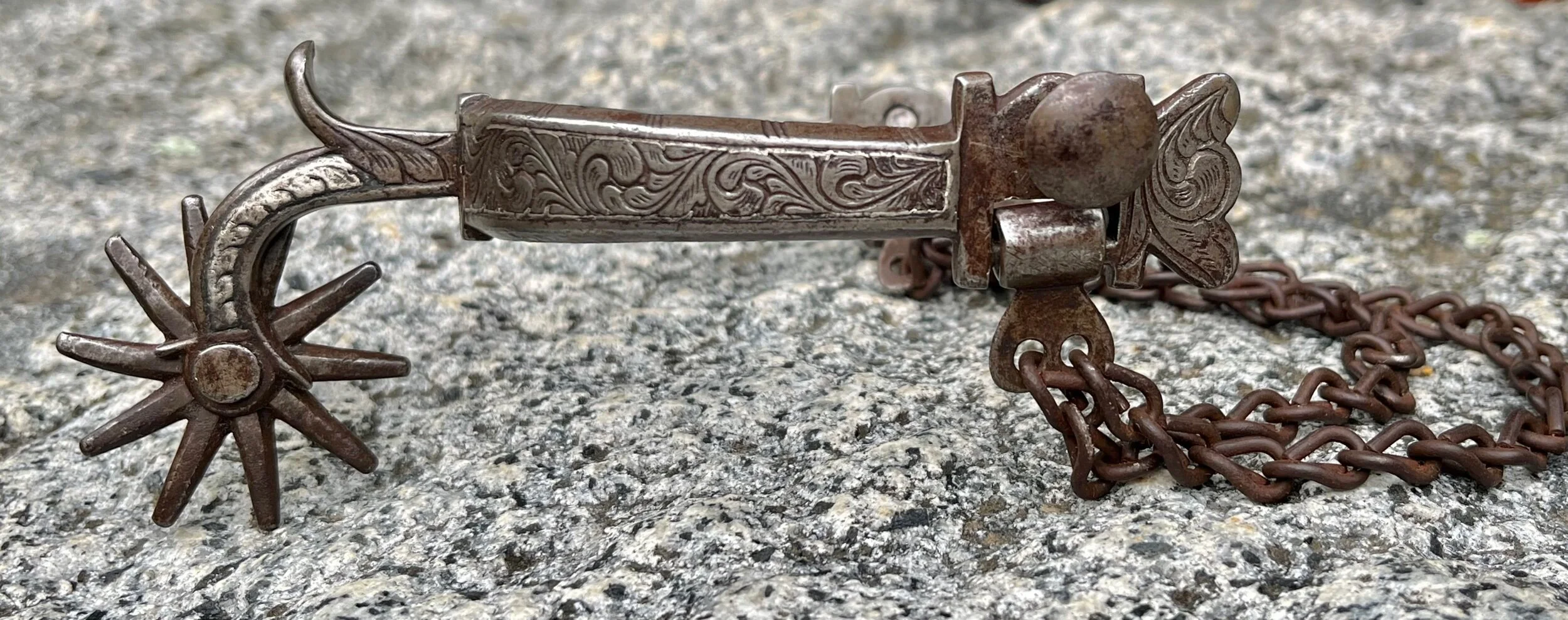 223DF147-C834-4A90-AF76-916F591604BD