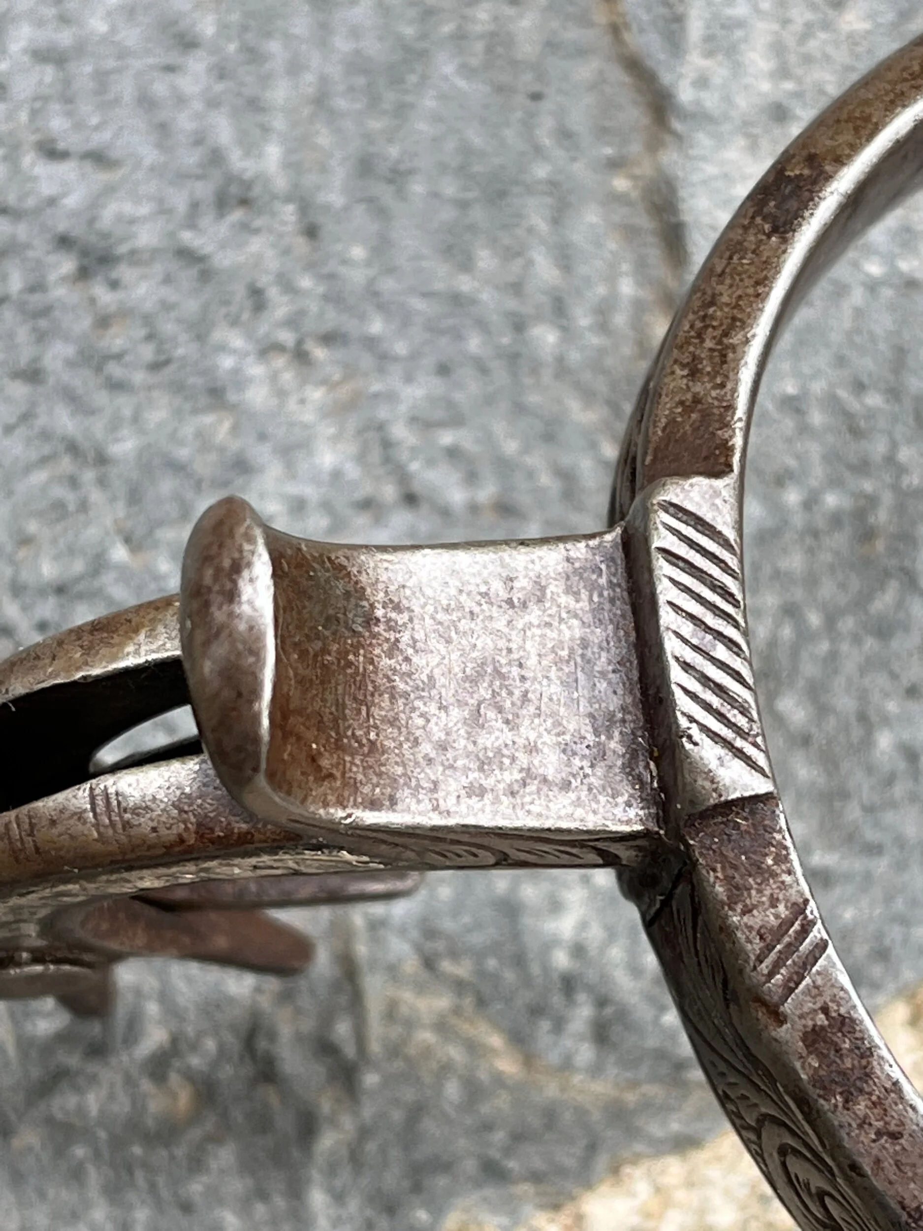 41291C4C-258C-448C-AFD9-2E4181773EC6