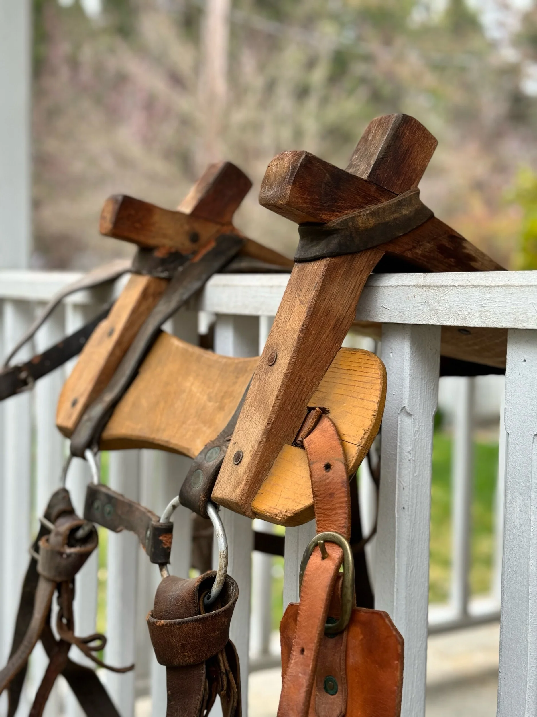 9D517B2C-9C27-4A2F-BE53-89D4505B7FF7