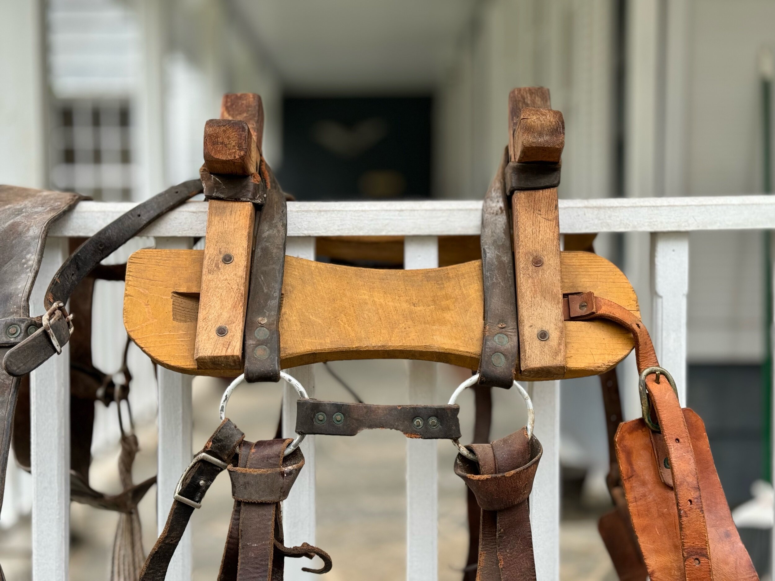 27522DF5-15FA-4533-90BA-2F26542F18E8