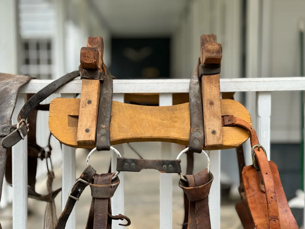 うらしま堂　the custom rawhide うらしま堂 the custom rawhide Saddles, Braided Rawhide