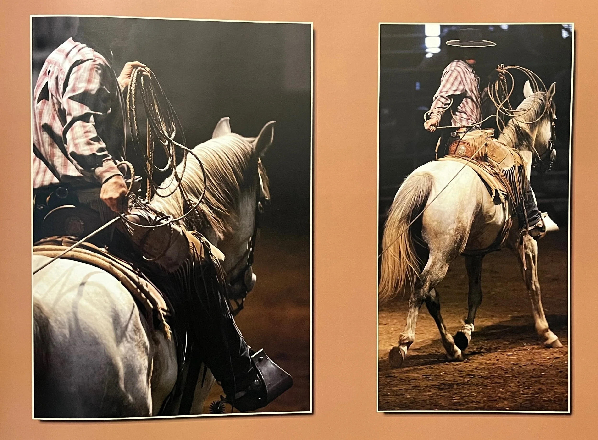 79570A92-DACD-4FFB-A0A8-D5C3EA32E44B