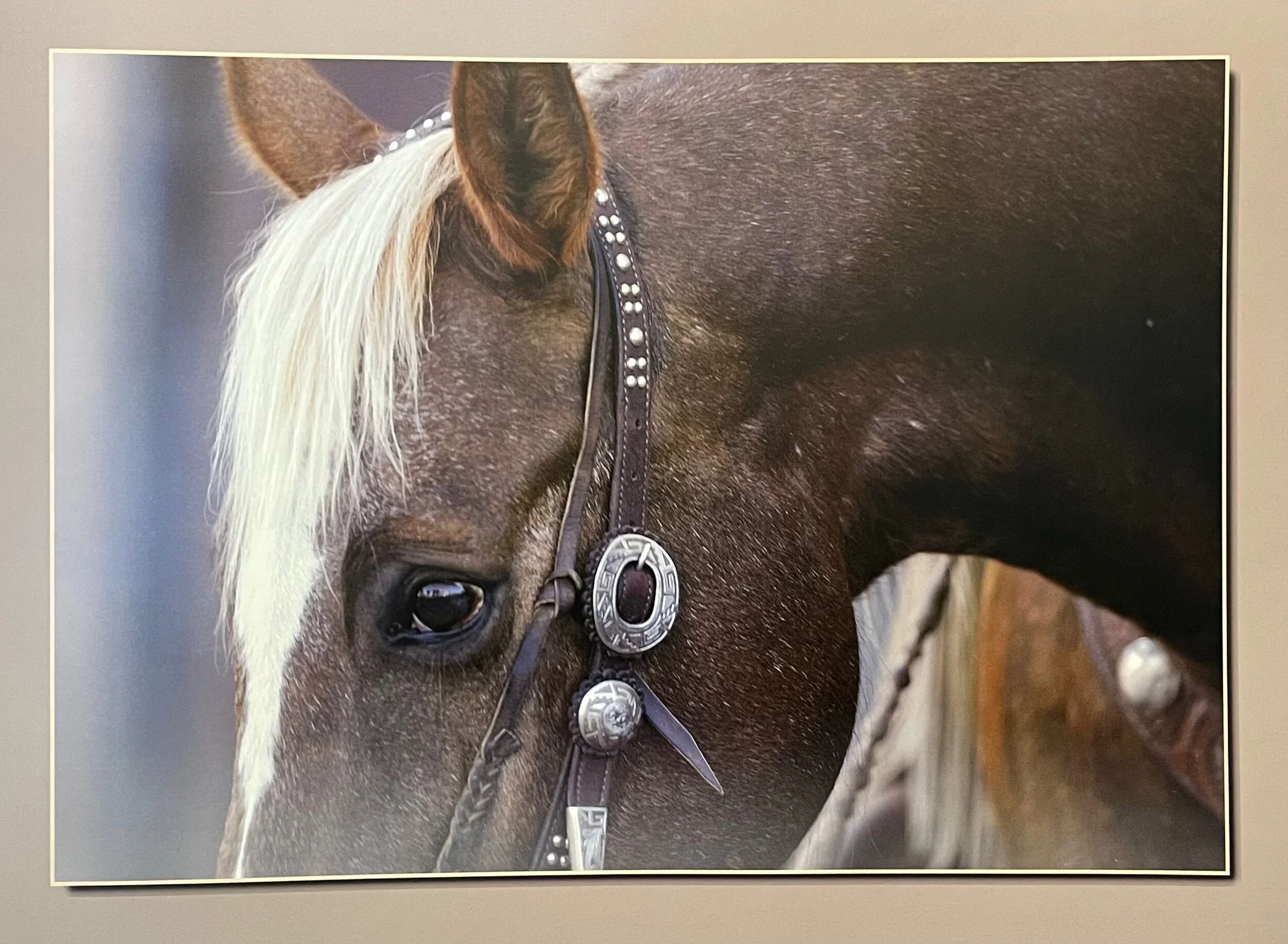 EAFC1FA8-5CC1-4FB8-866B-EA93B0879CFA