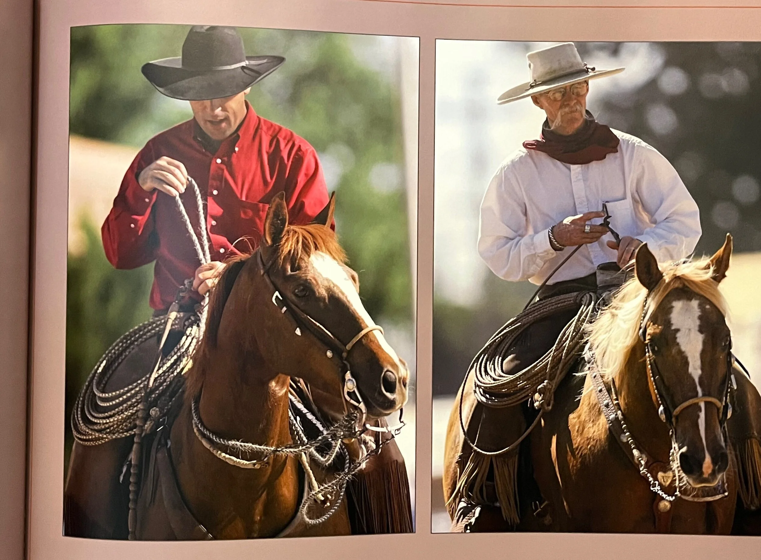 20054629-4965-4DCC-8CCA-63DC43B84B58