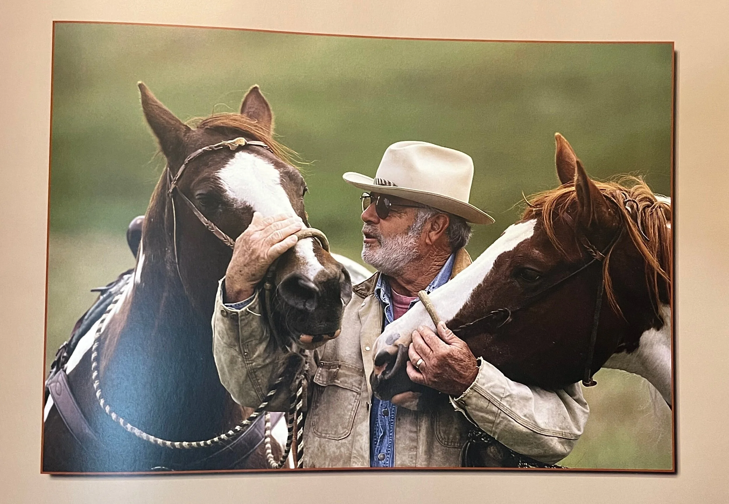 9C701A97-6A3B-4051-83EB-1FEEEB7FE375