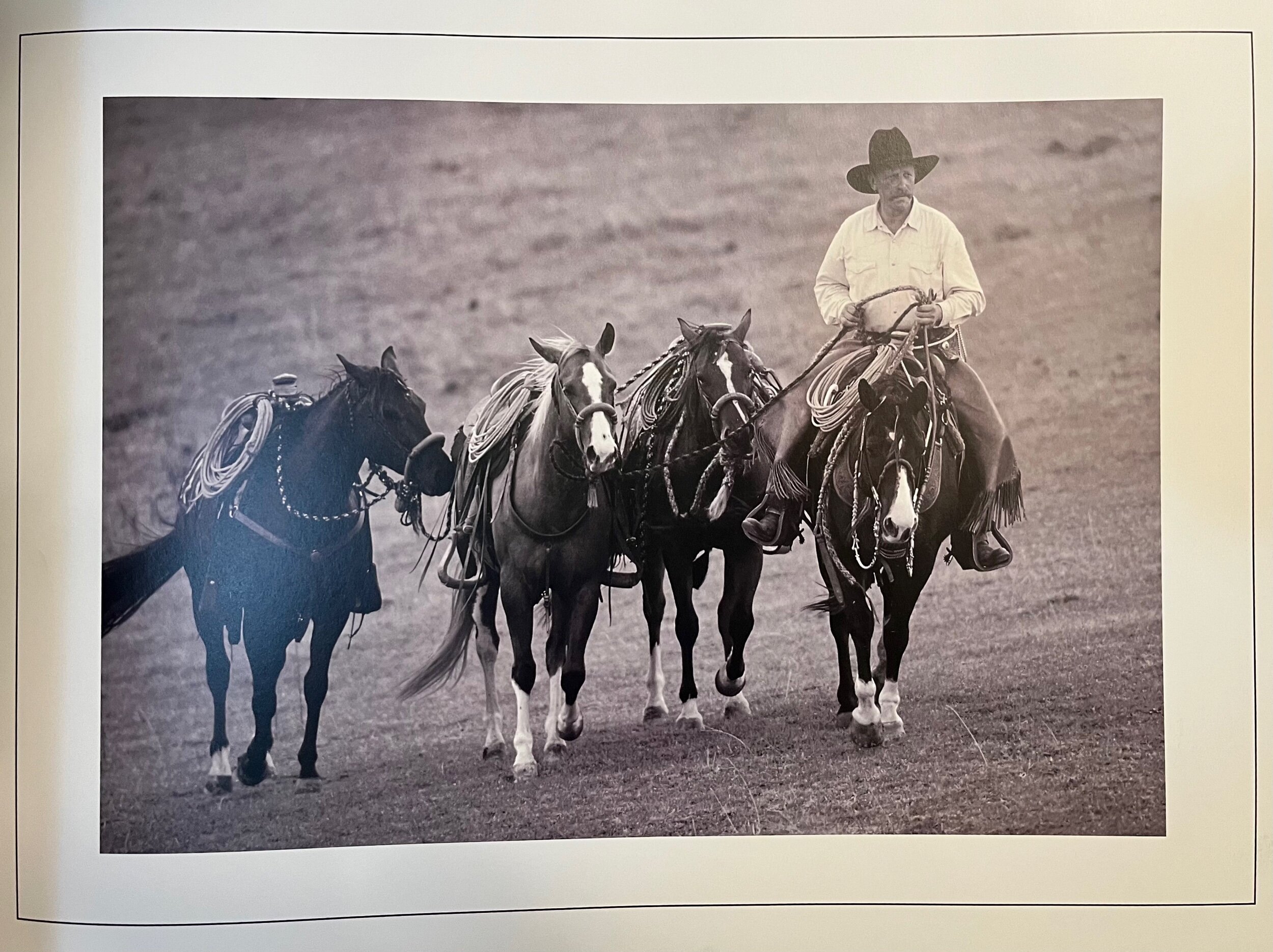 6D5276D0-1DED-4CF9-BE36-C666B6031278