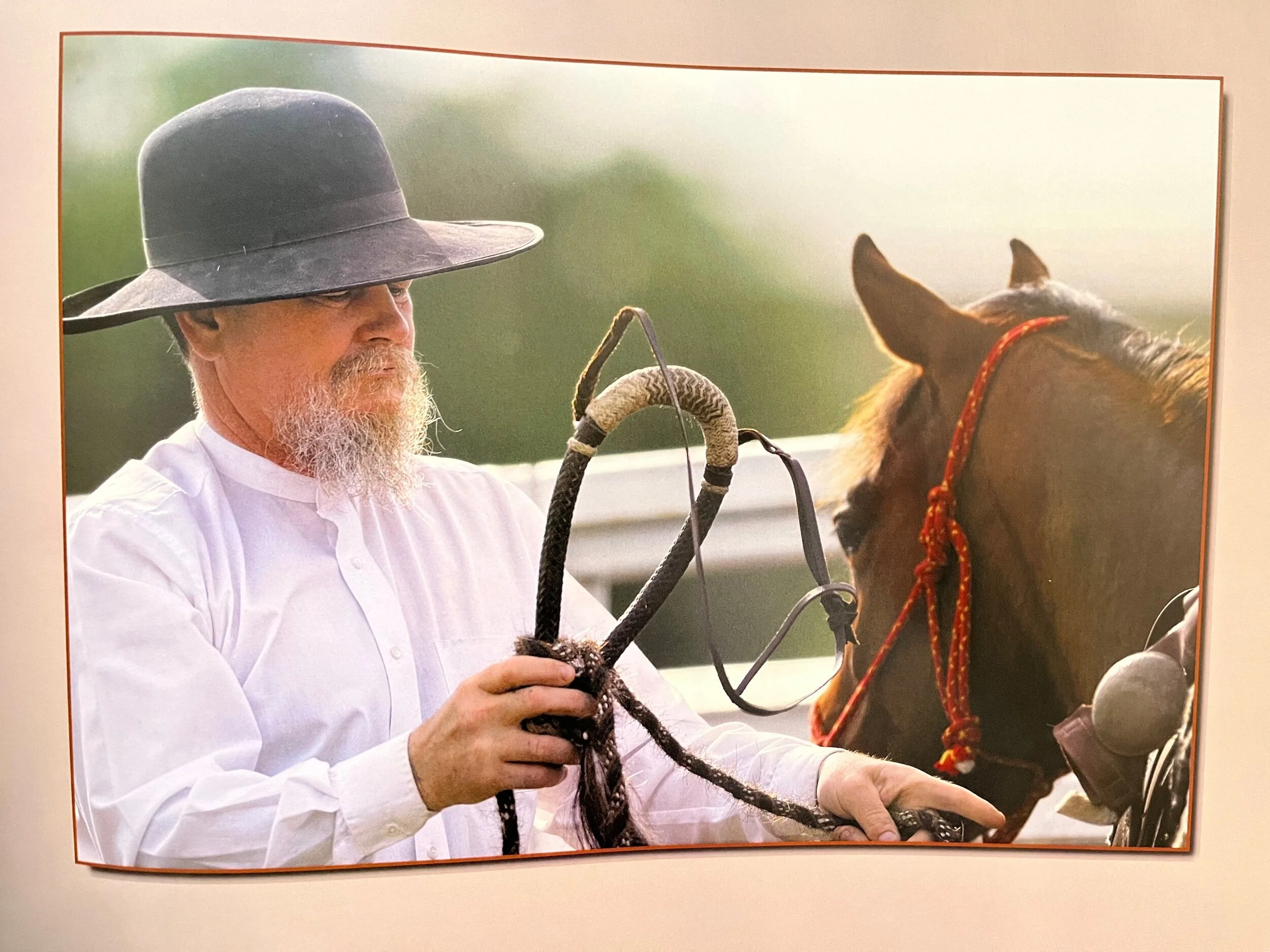 87EA4984-5AD1-4F20-AE67-6D436CB9DBAB