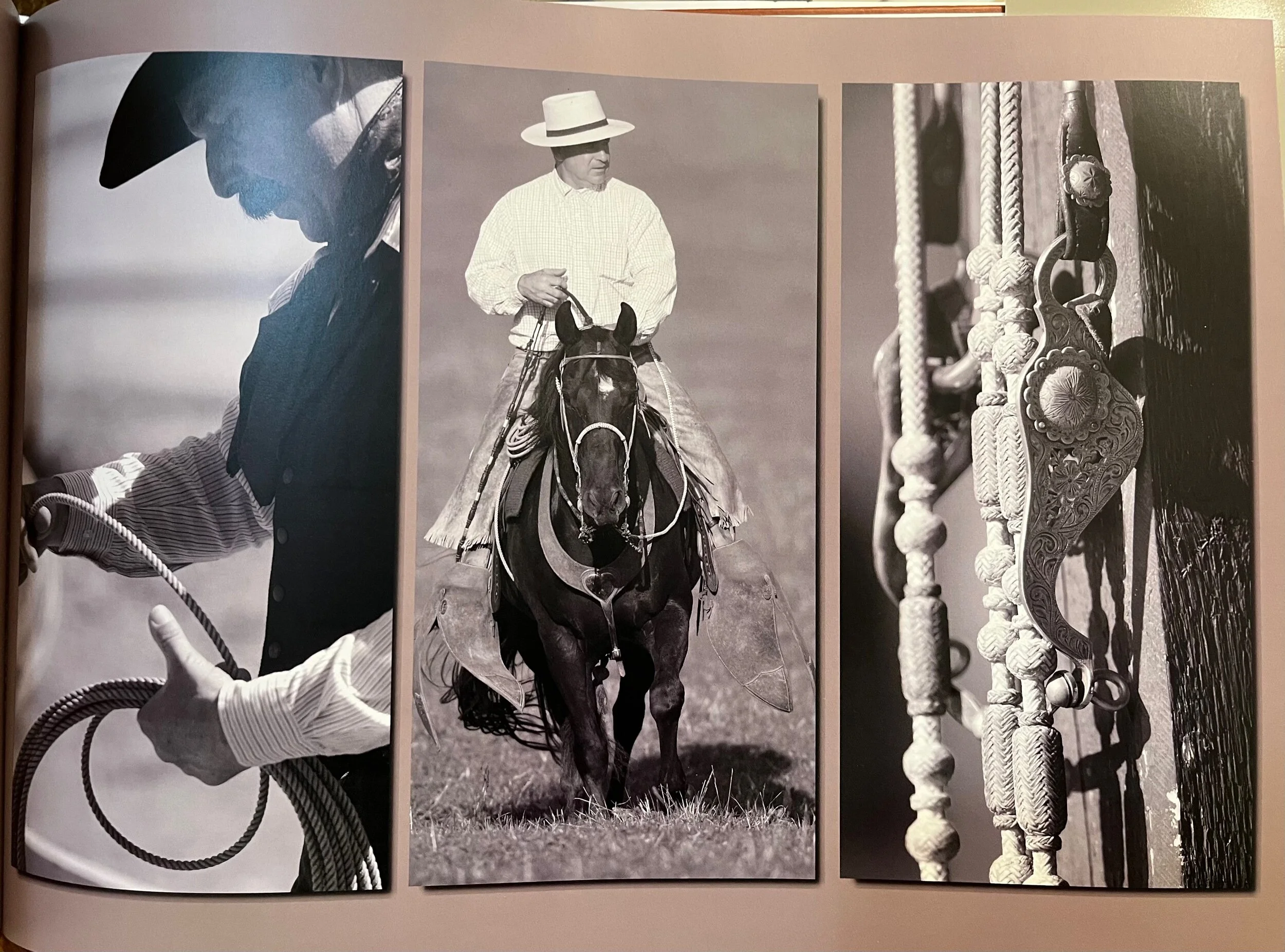 D8725C40-0C19-4CEB-A40C-AAE5B1D16311