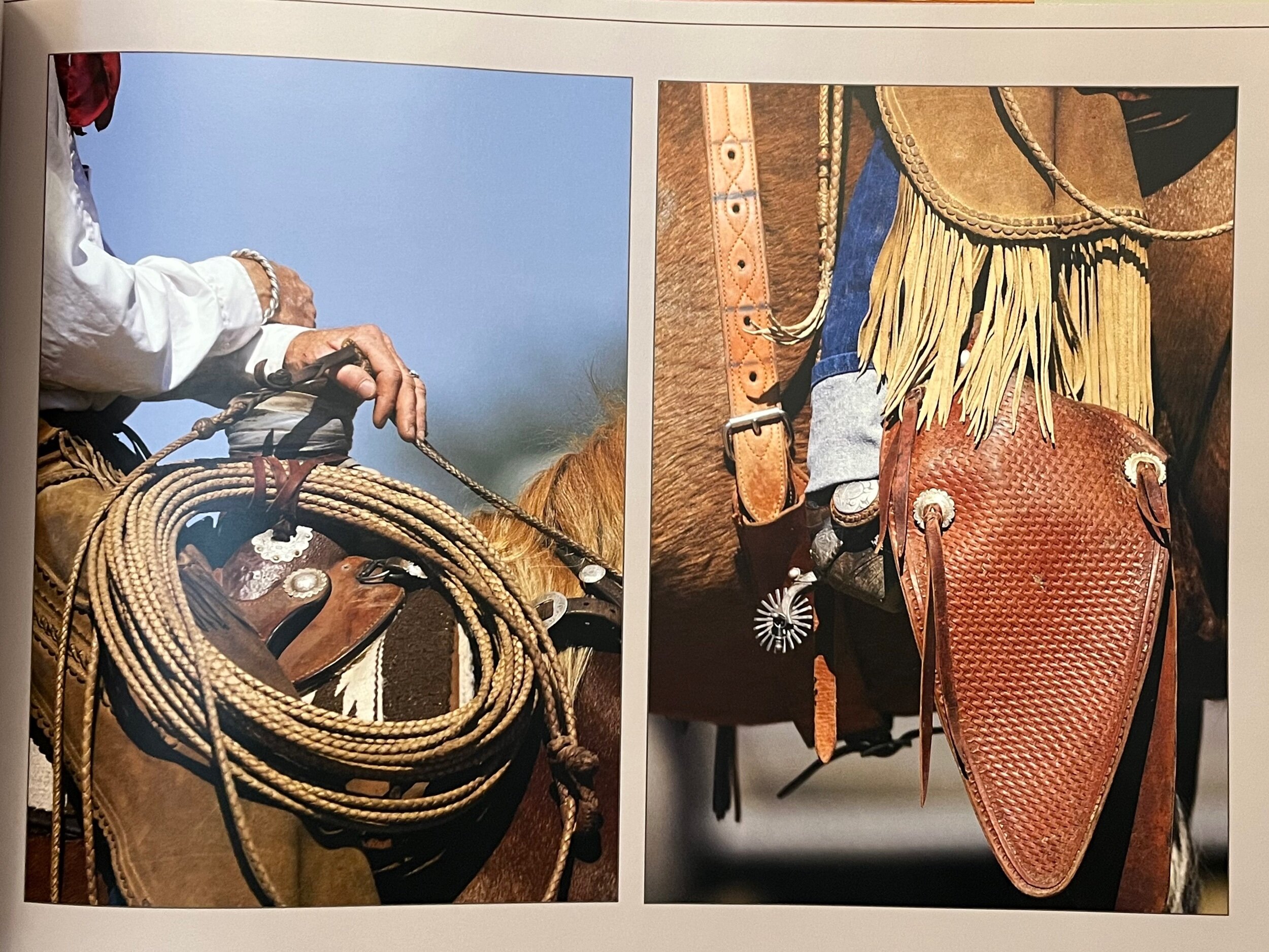 1D3E11C8-7AFD-43AF-9035-50D2B1C895C1